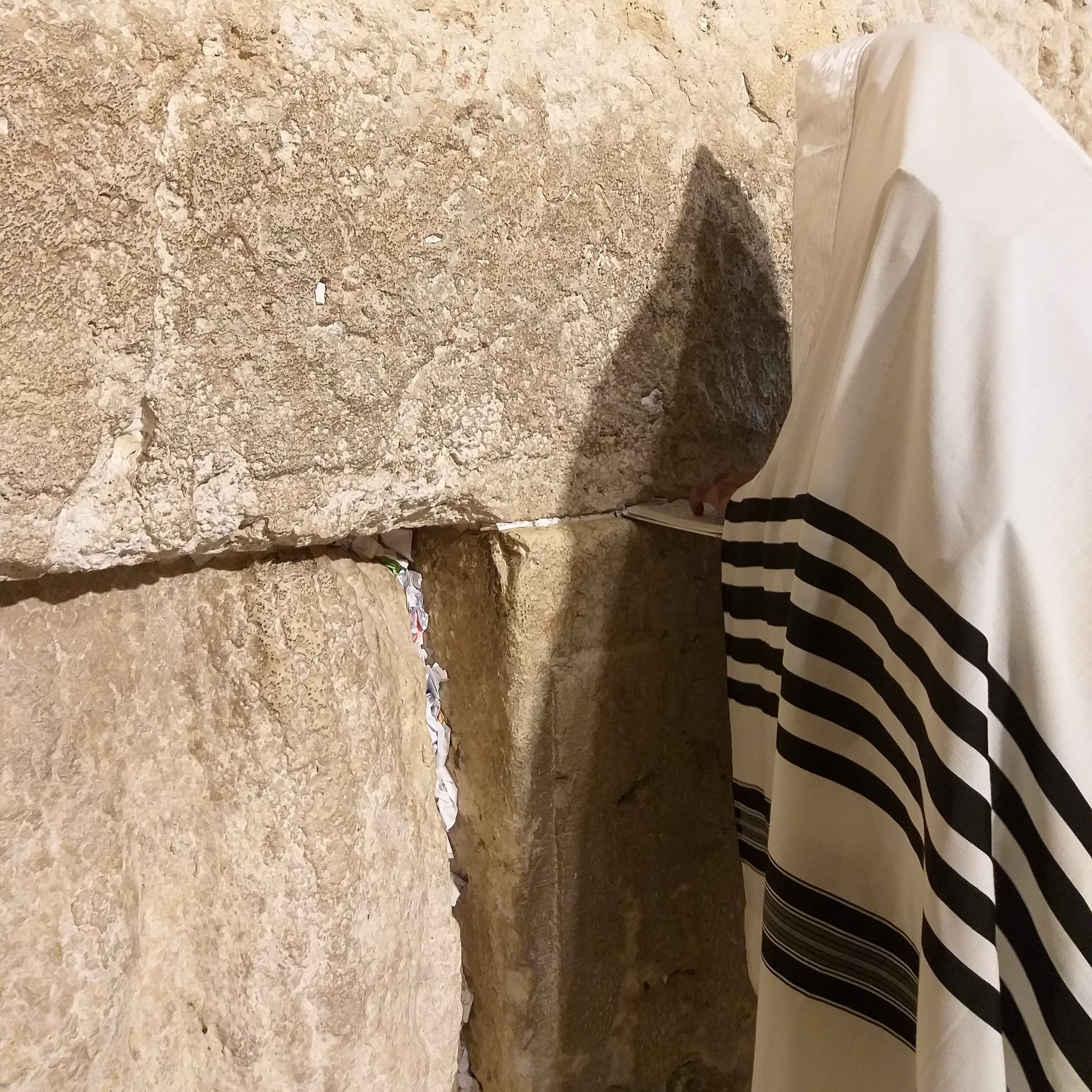 החוויה הדתית בבית המקדש - מיסטיקה לעומת פרקטיקה  episode artwork
