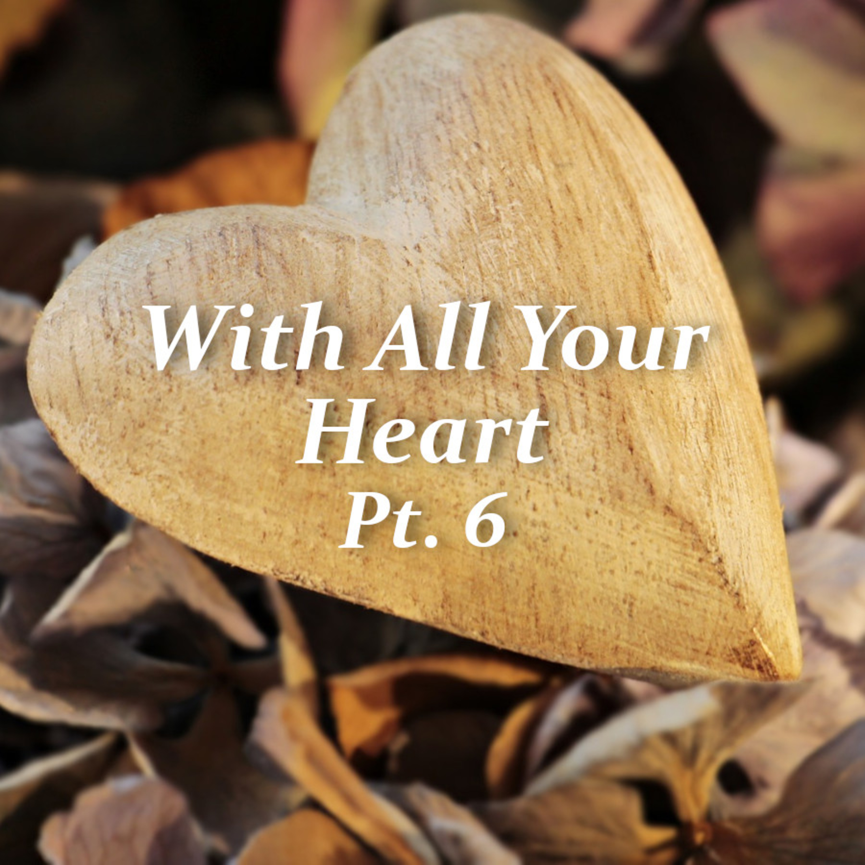 Walk in Truth with All Your Heart (With All Your Heart, Pt. 6) episode artwork