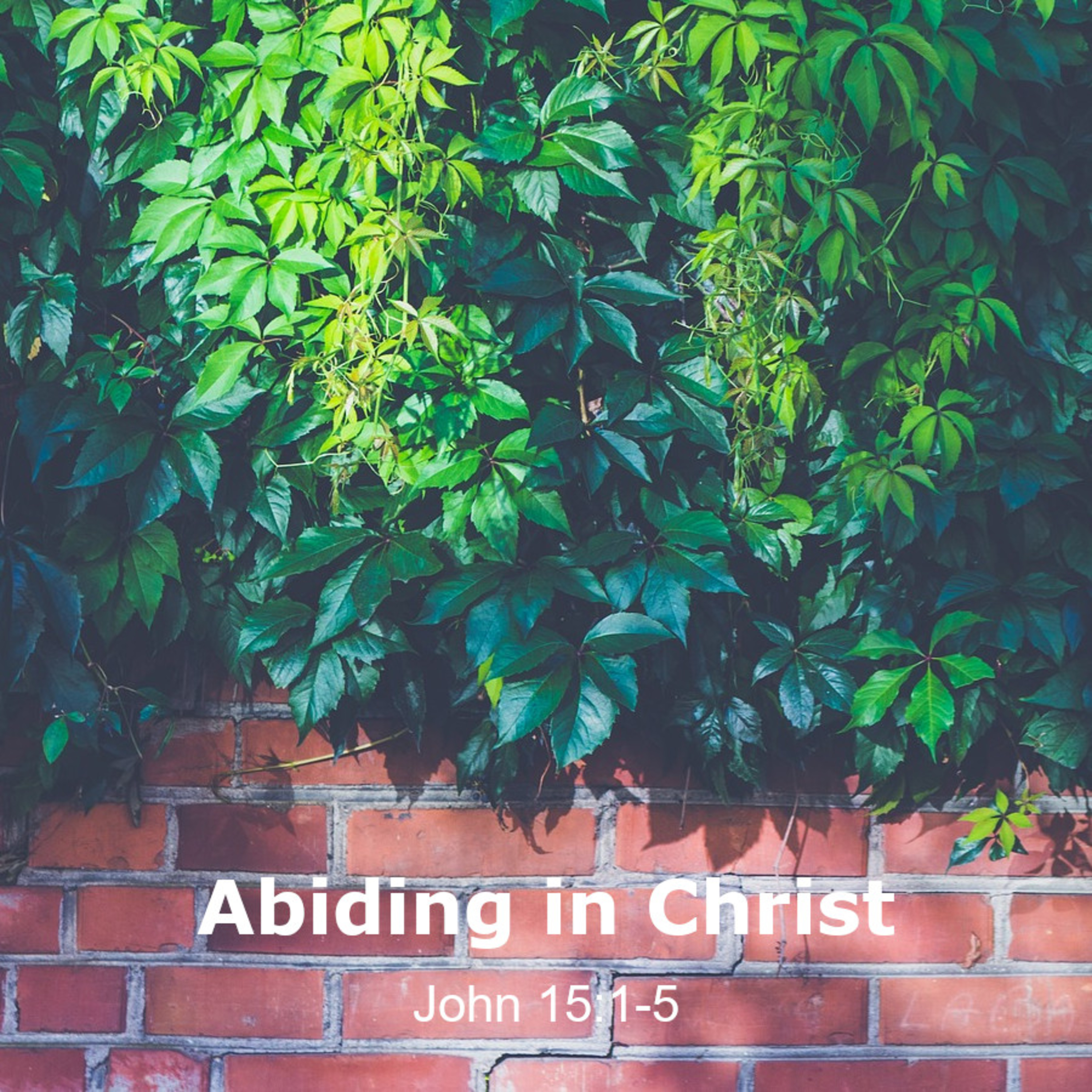 Abiding in Christ w/ Bro. Matt Miller episode artwork
