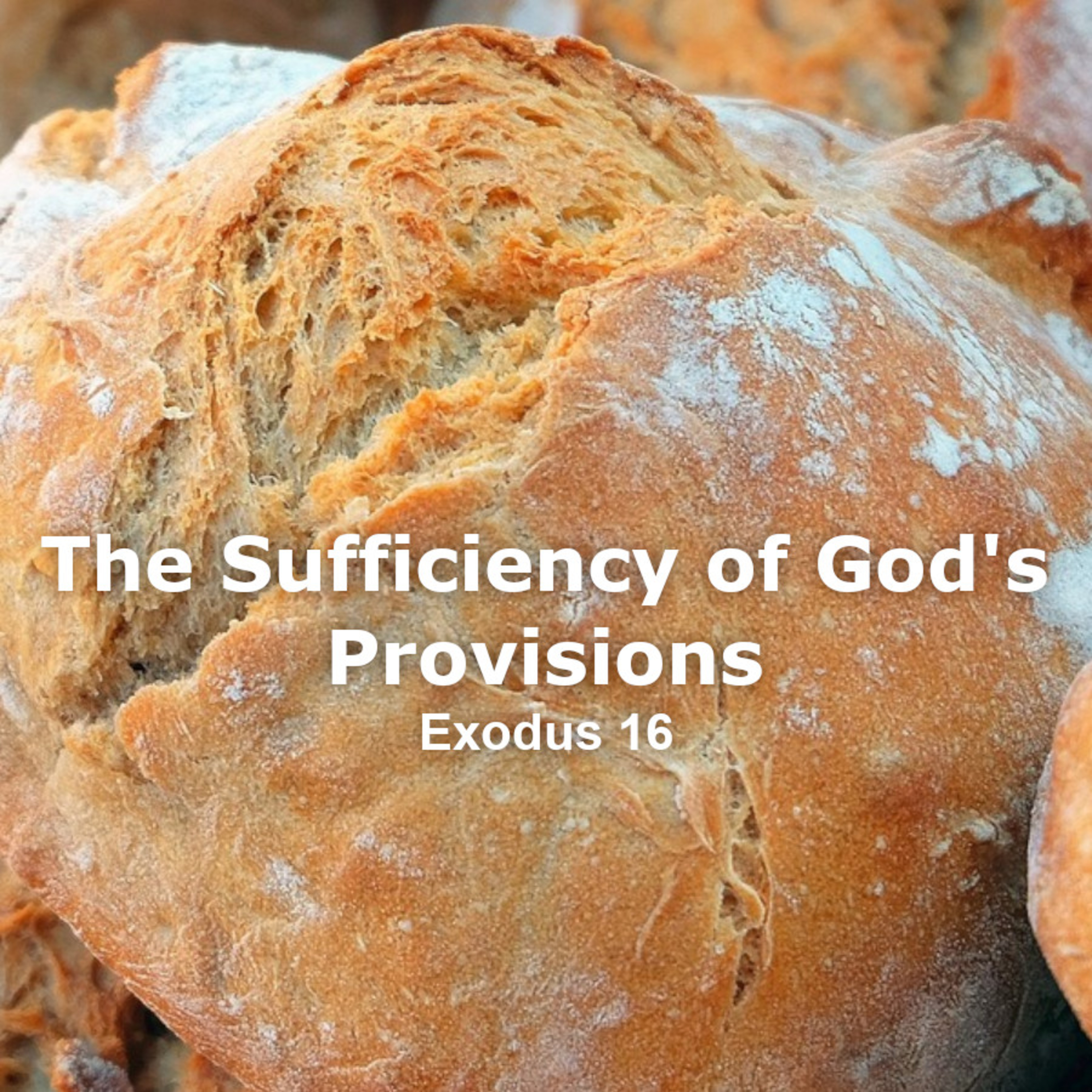 The Sufficiency of God's Provisions w/ Bro. Sam Gibson episode artwork