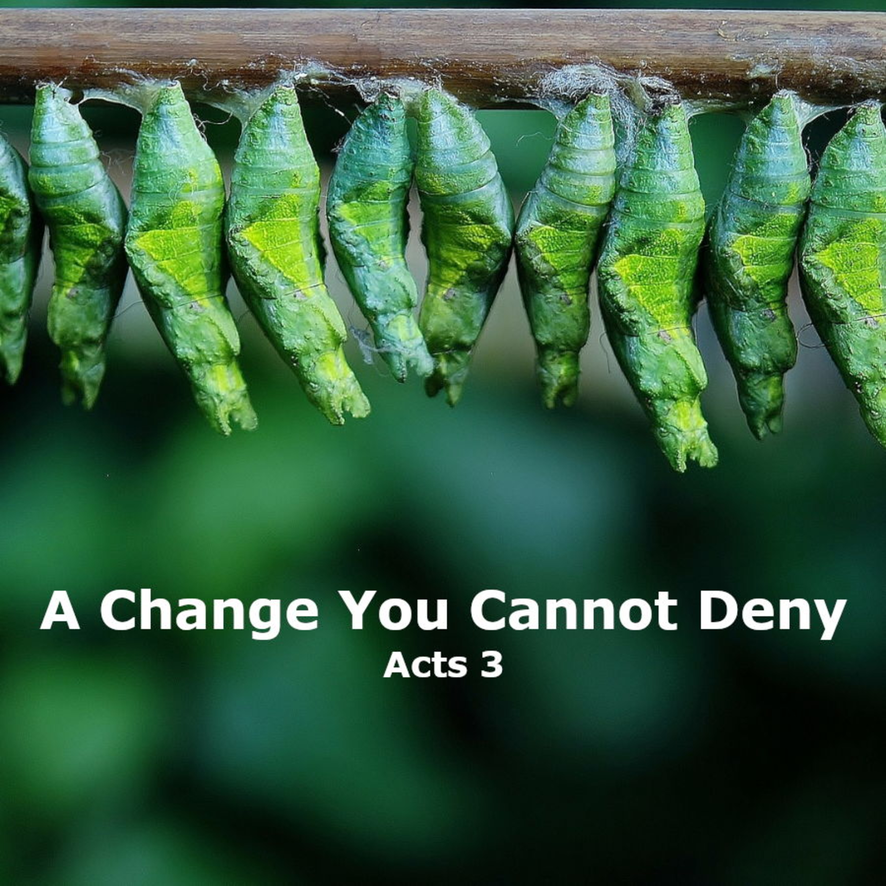 A Change You Cannot Deny episode artwork