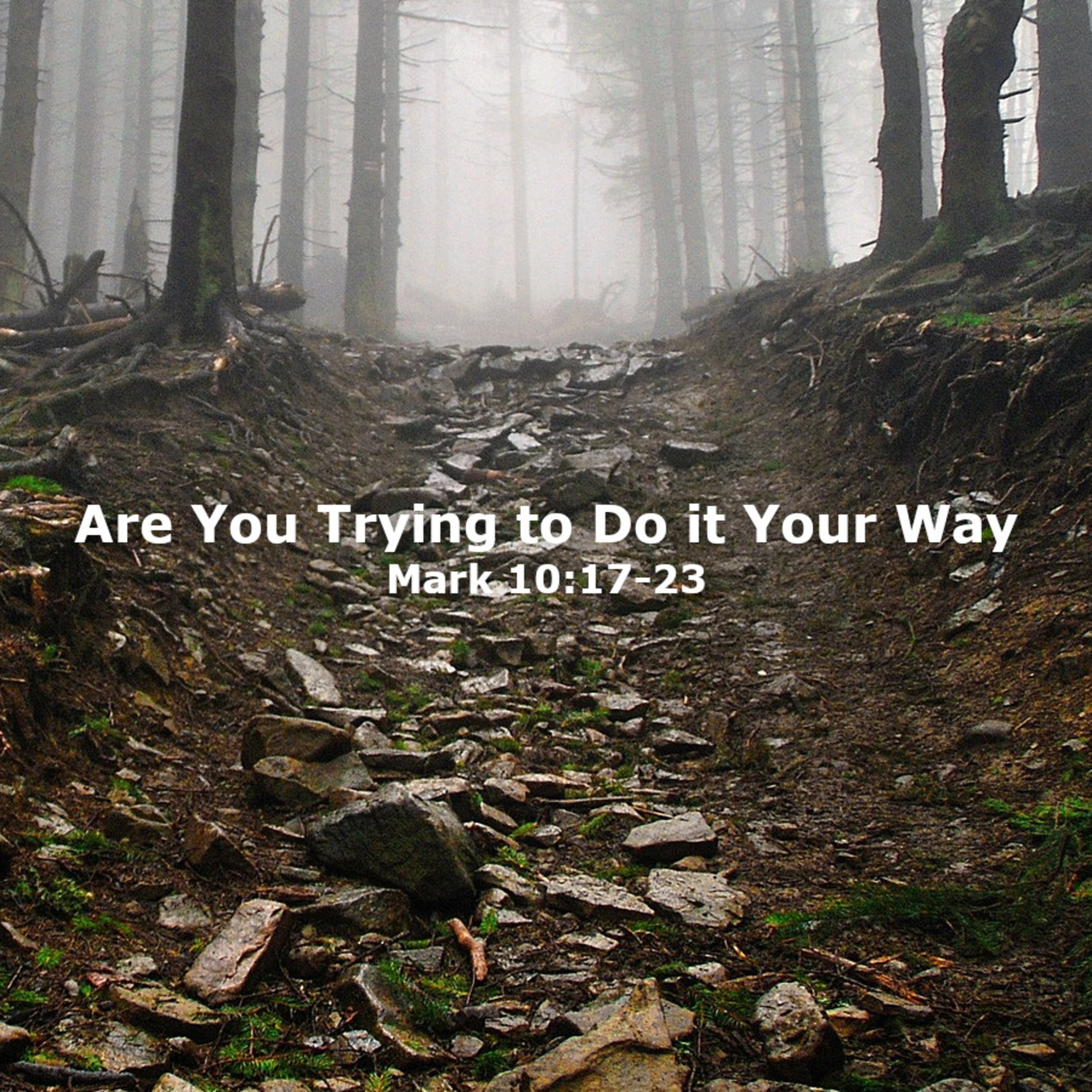 Are You Trying to Do it Your Way episode artwork