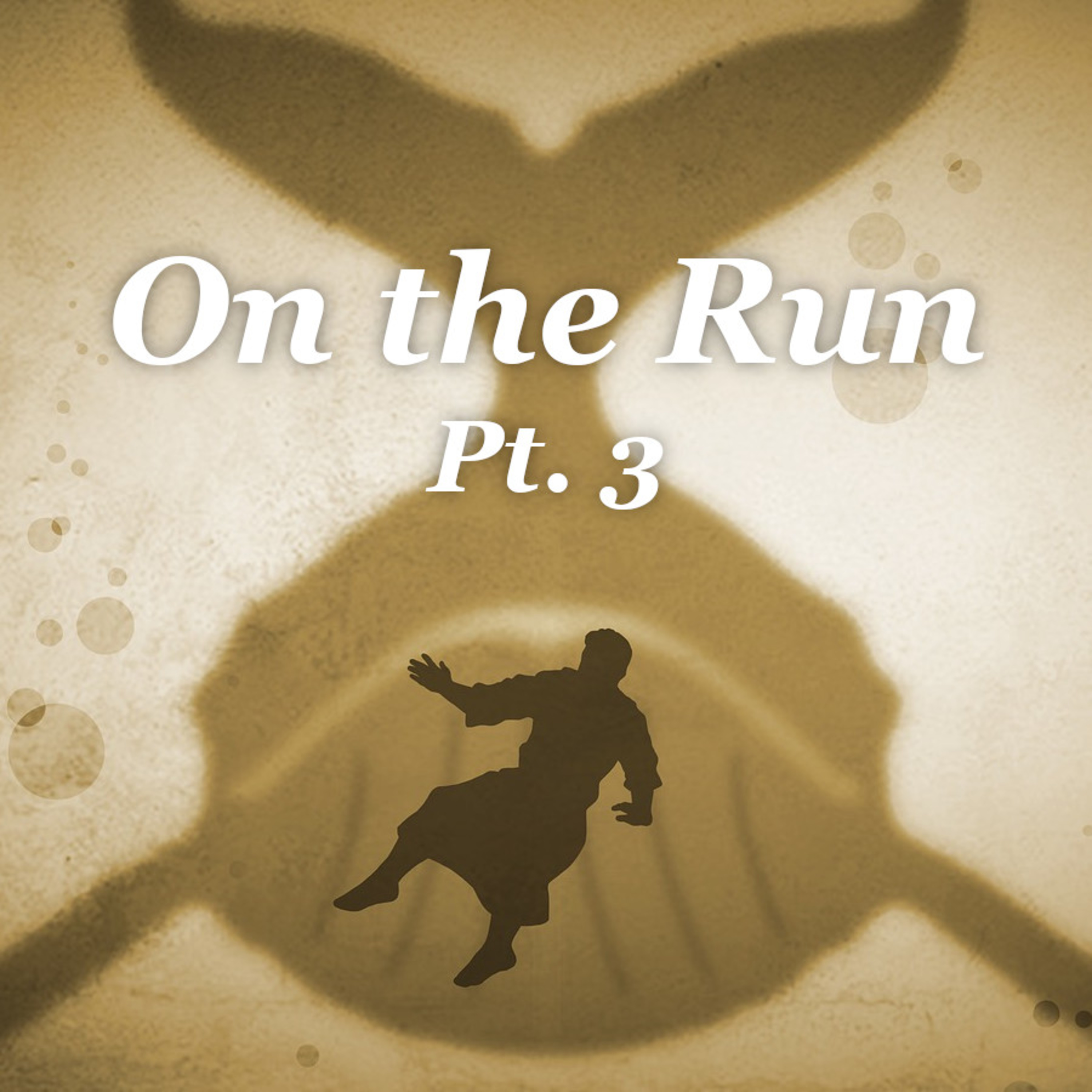 This Storm is Because of Me (On the Run, Pt. 3) episode artwork