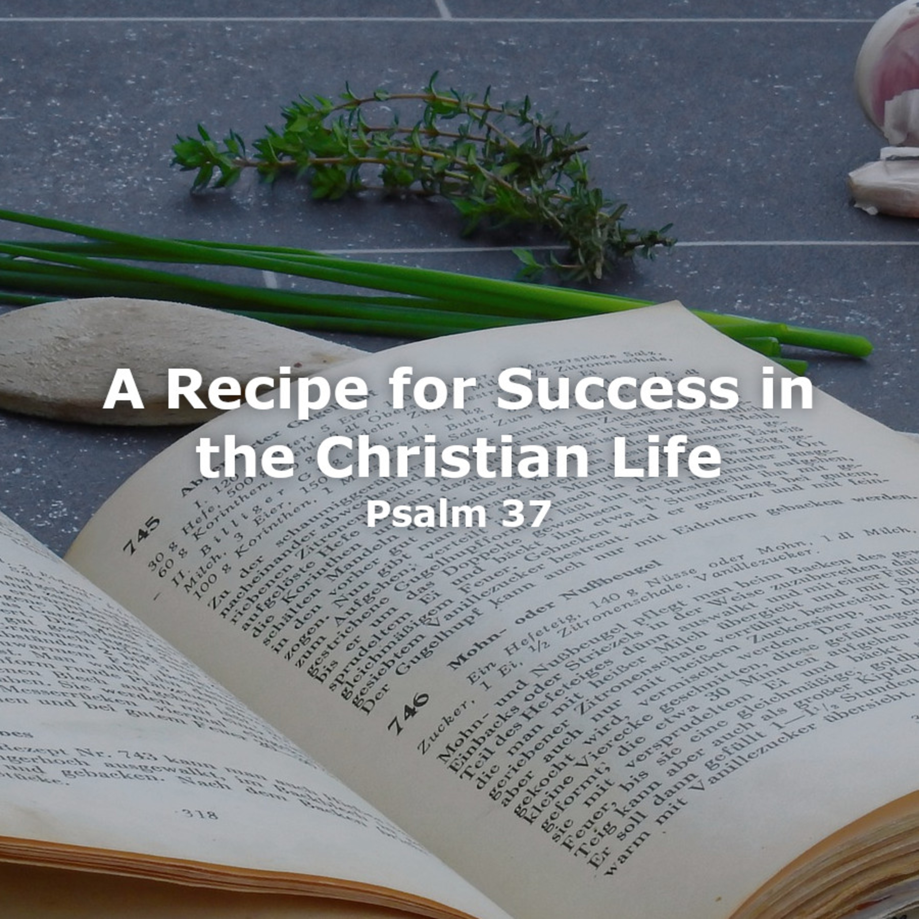 A Recipe for Success in the Christian Life episode artwork
