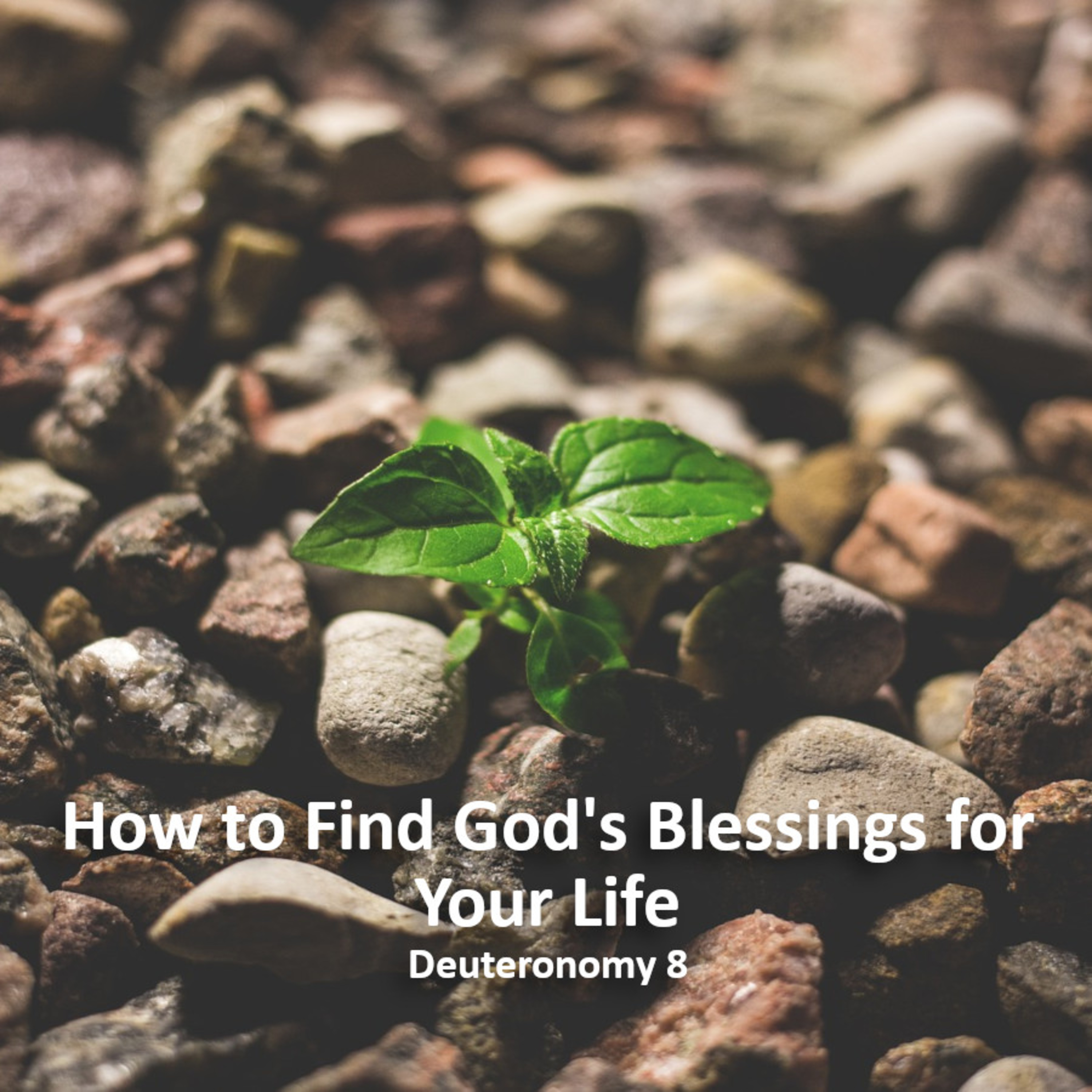How to Find God's Blessings for Your Life w/ Bro. Bryan Stensaas episode artwork