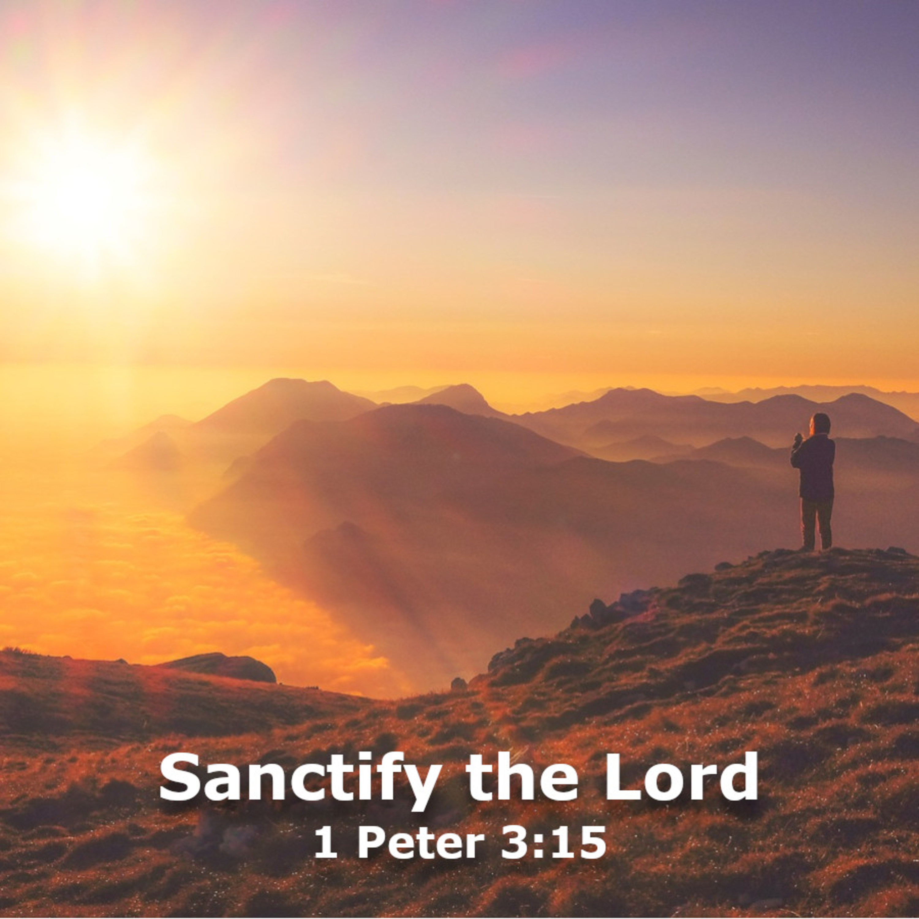 Sanctify the Lord episode artwork