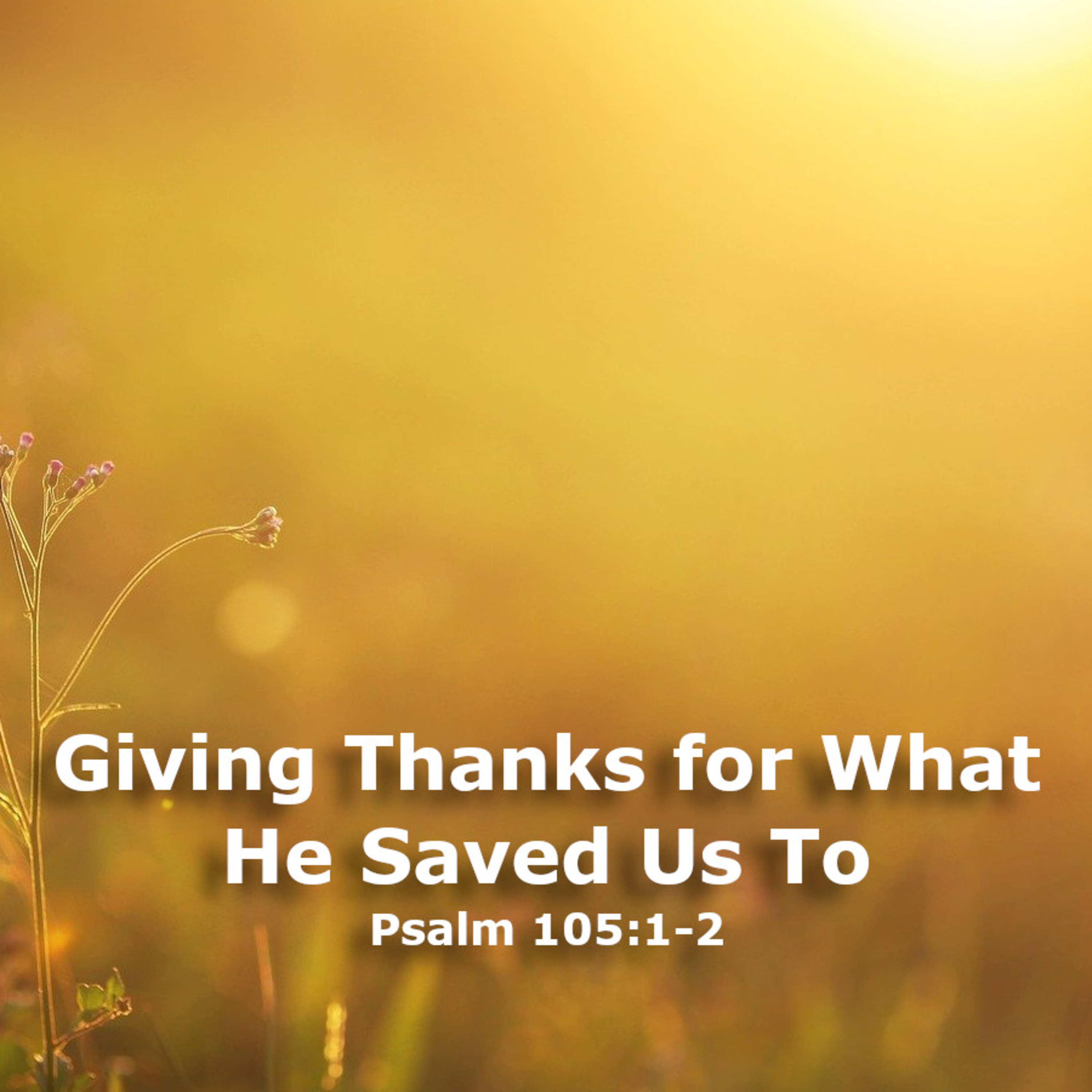 Giving Thanks for What He Saved Us To episode artwork