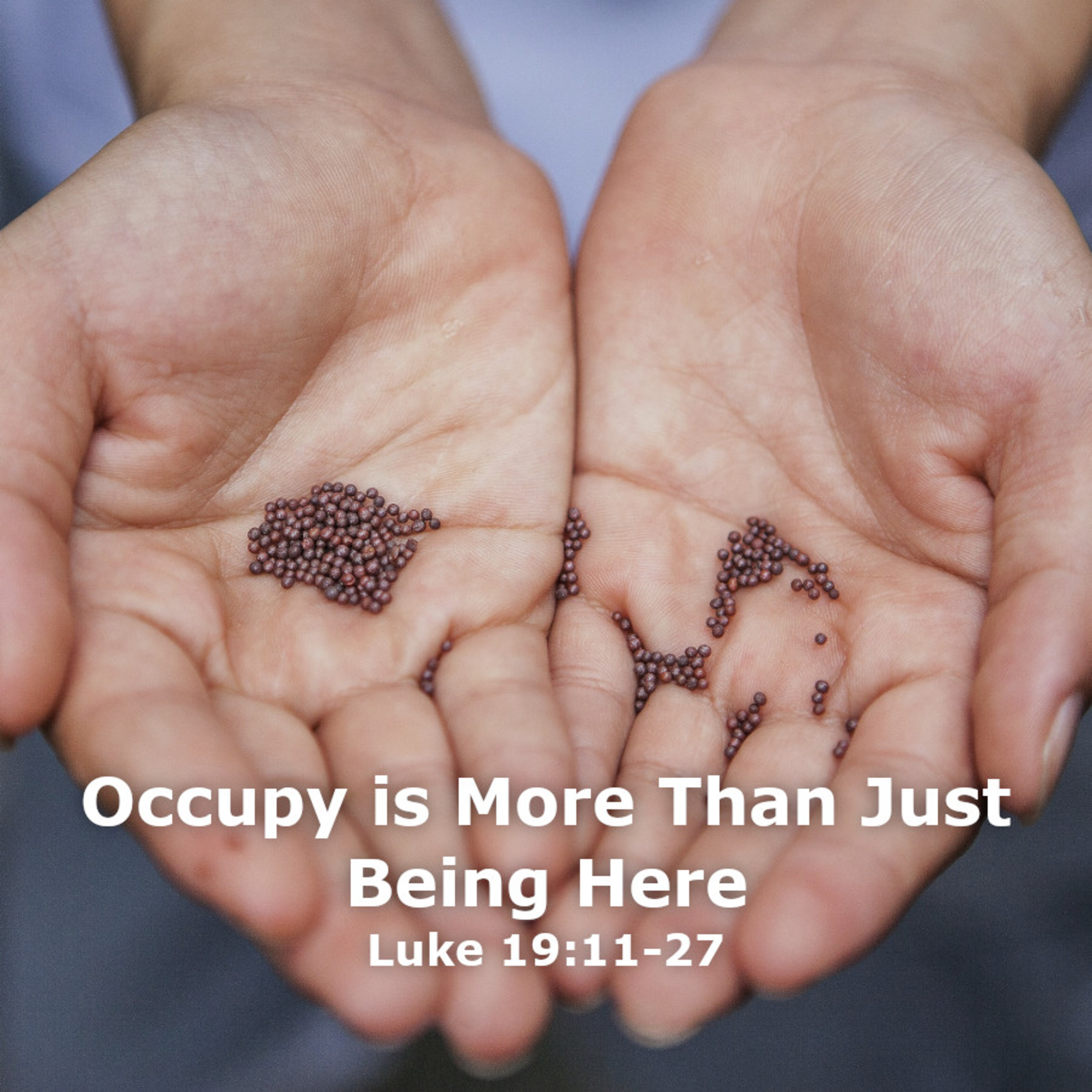 Occupy is More Than Just Being Here episode artwork