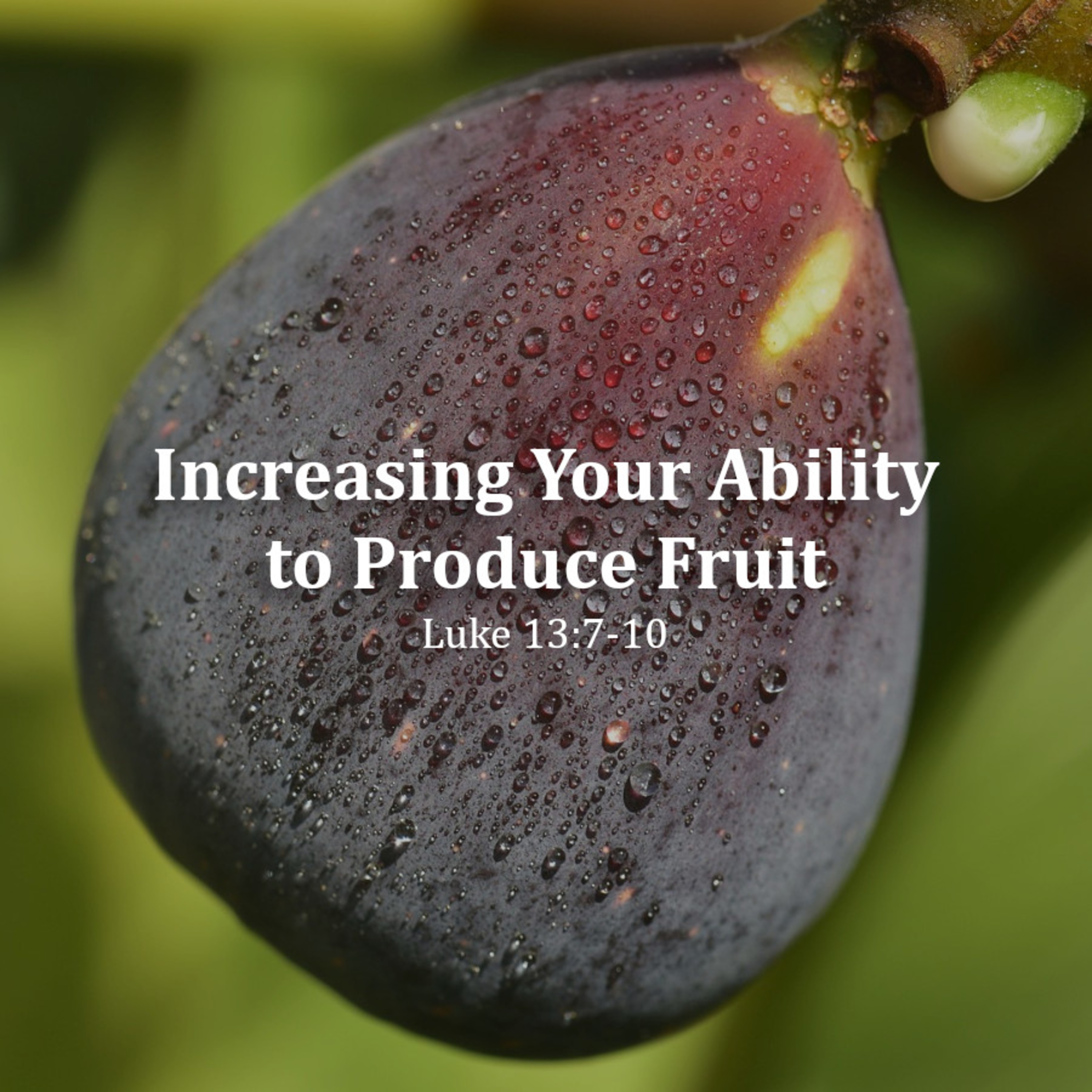 Increasing Your Ability To Produce Fruit episode artwork