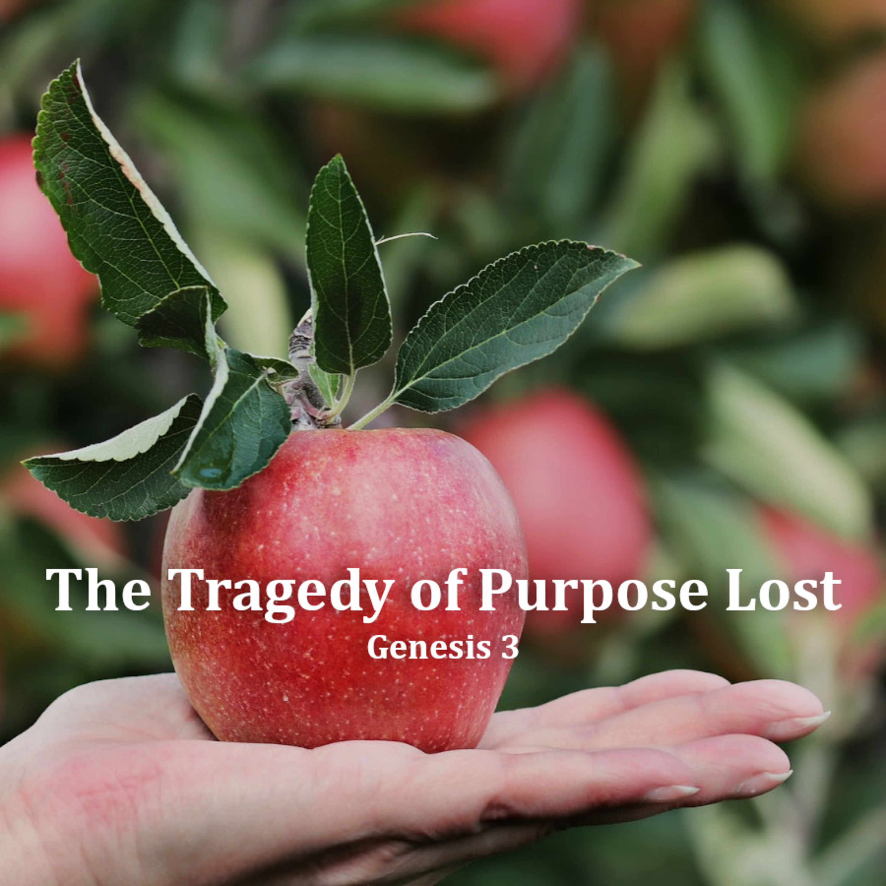 The Tragedy of Purpose Lost episode artwork