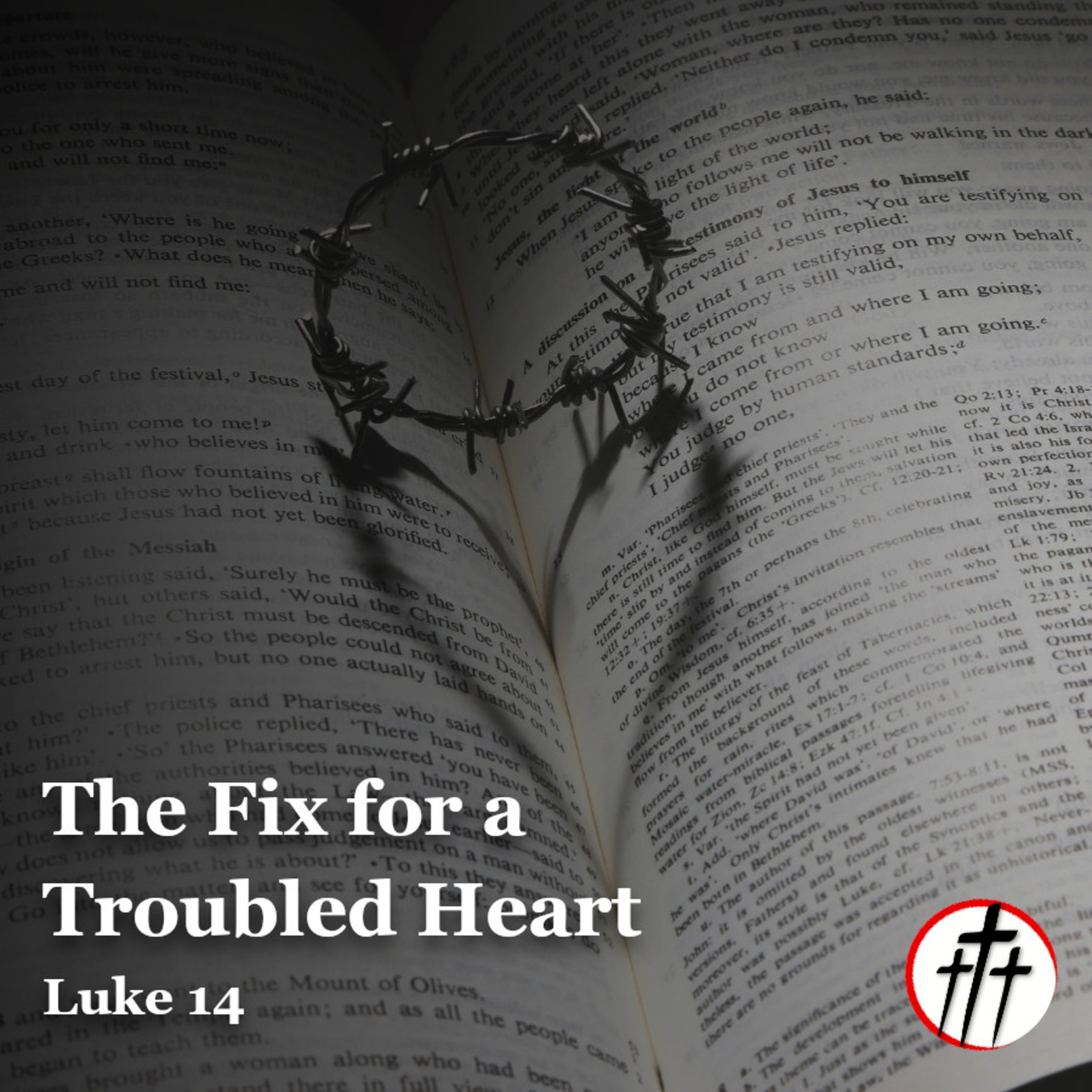 The Fix for a Troubled Heart episode artwork