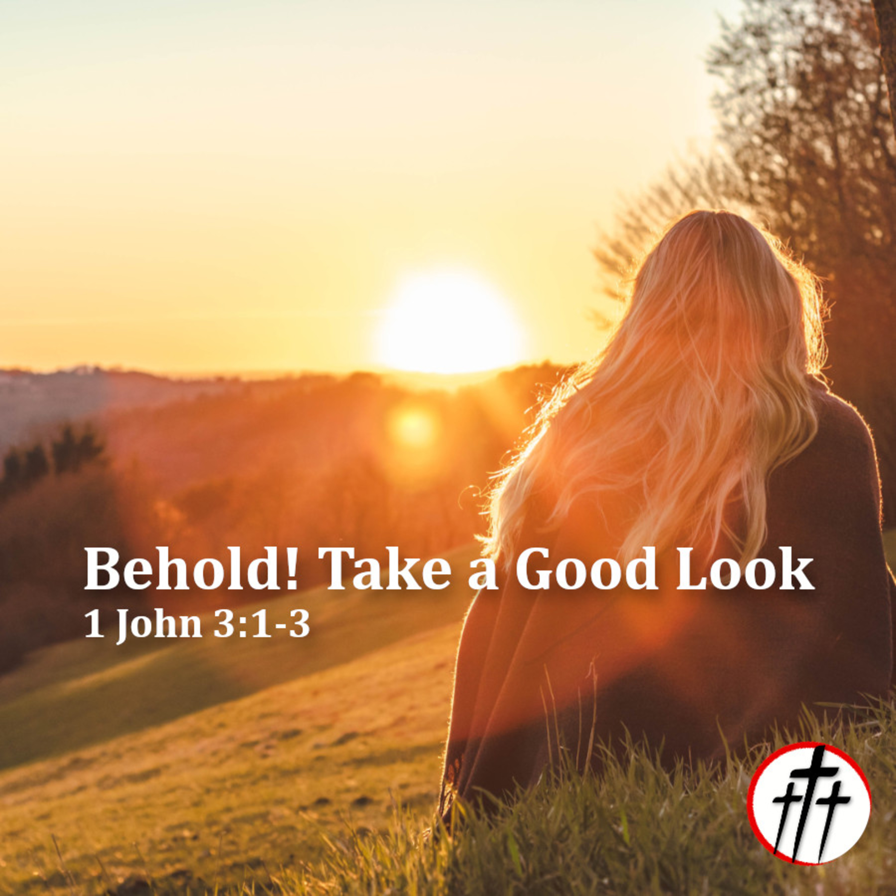 Behold! Take a Good Look episode artwork