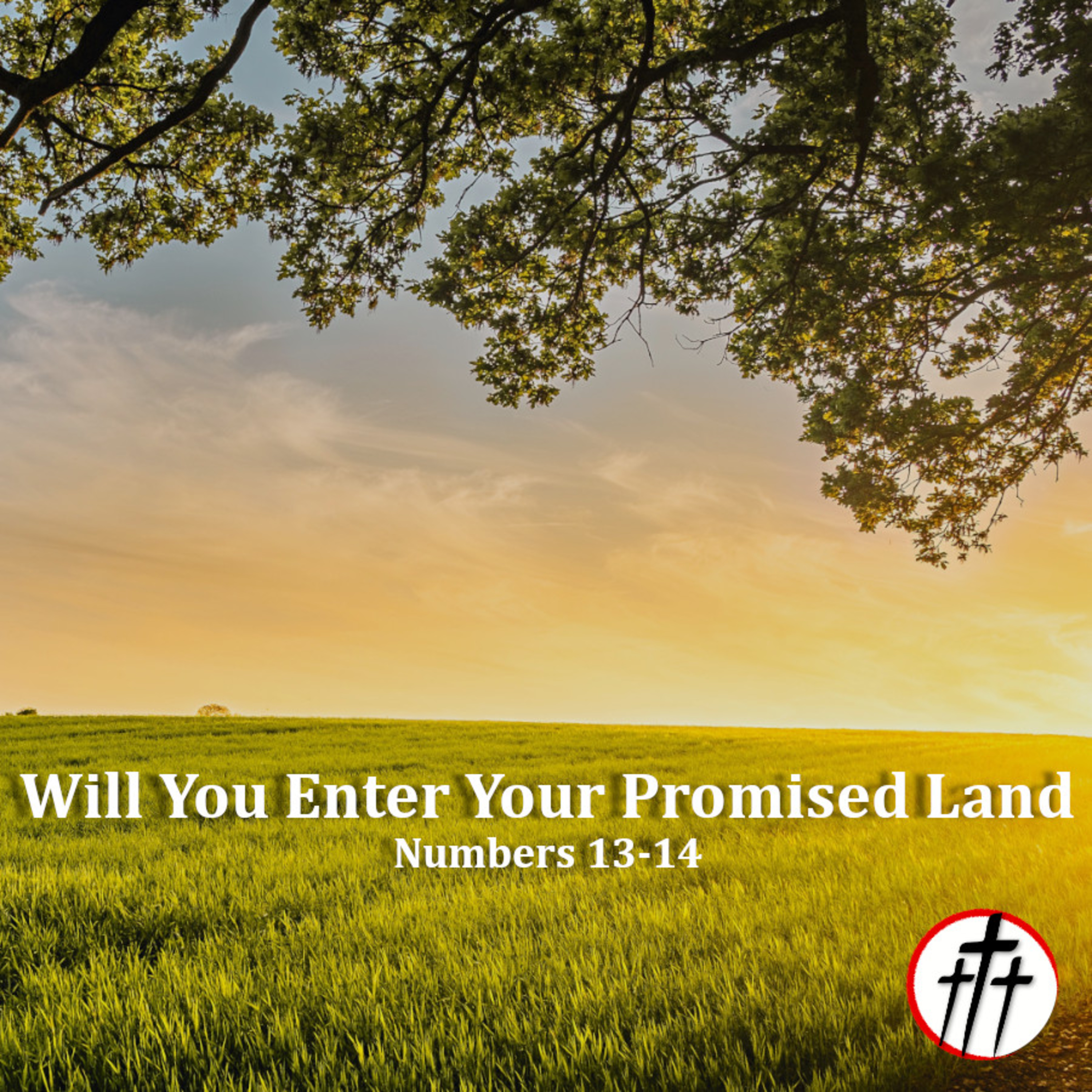 Will You Enter Your Promised Land w/ Bro. Thomas Hoey episode artwork