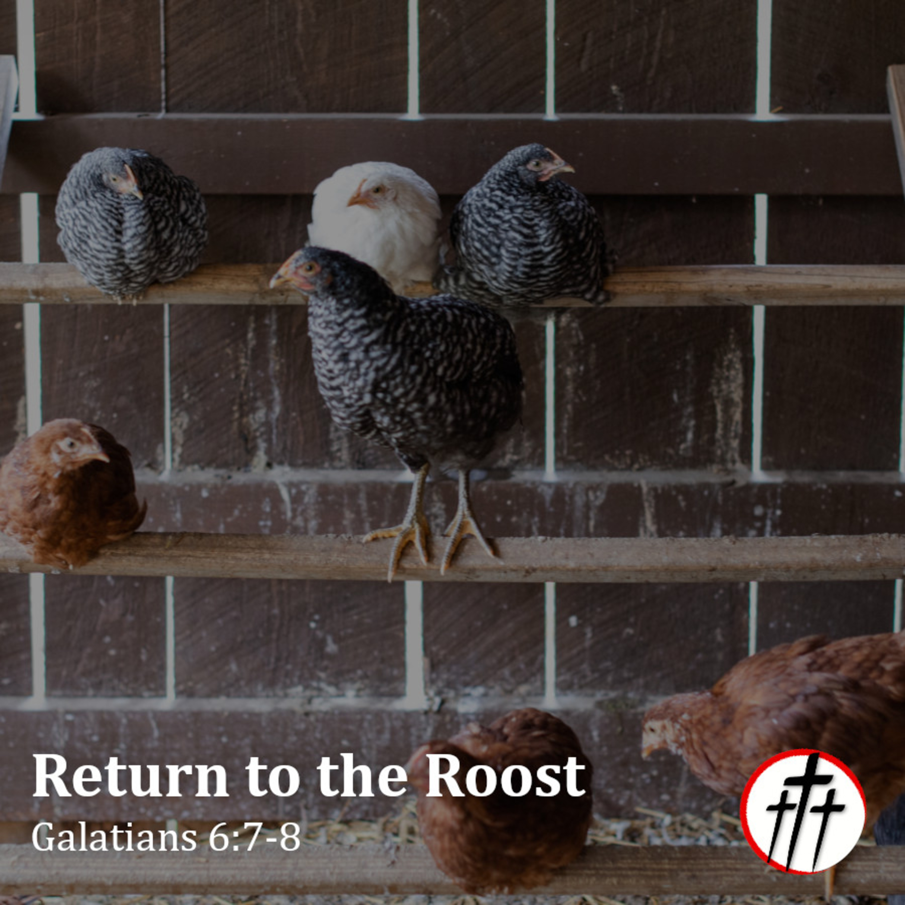 Return to the Roost episode artwork