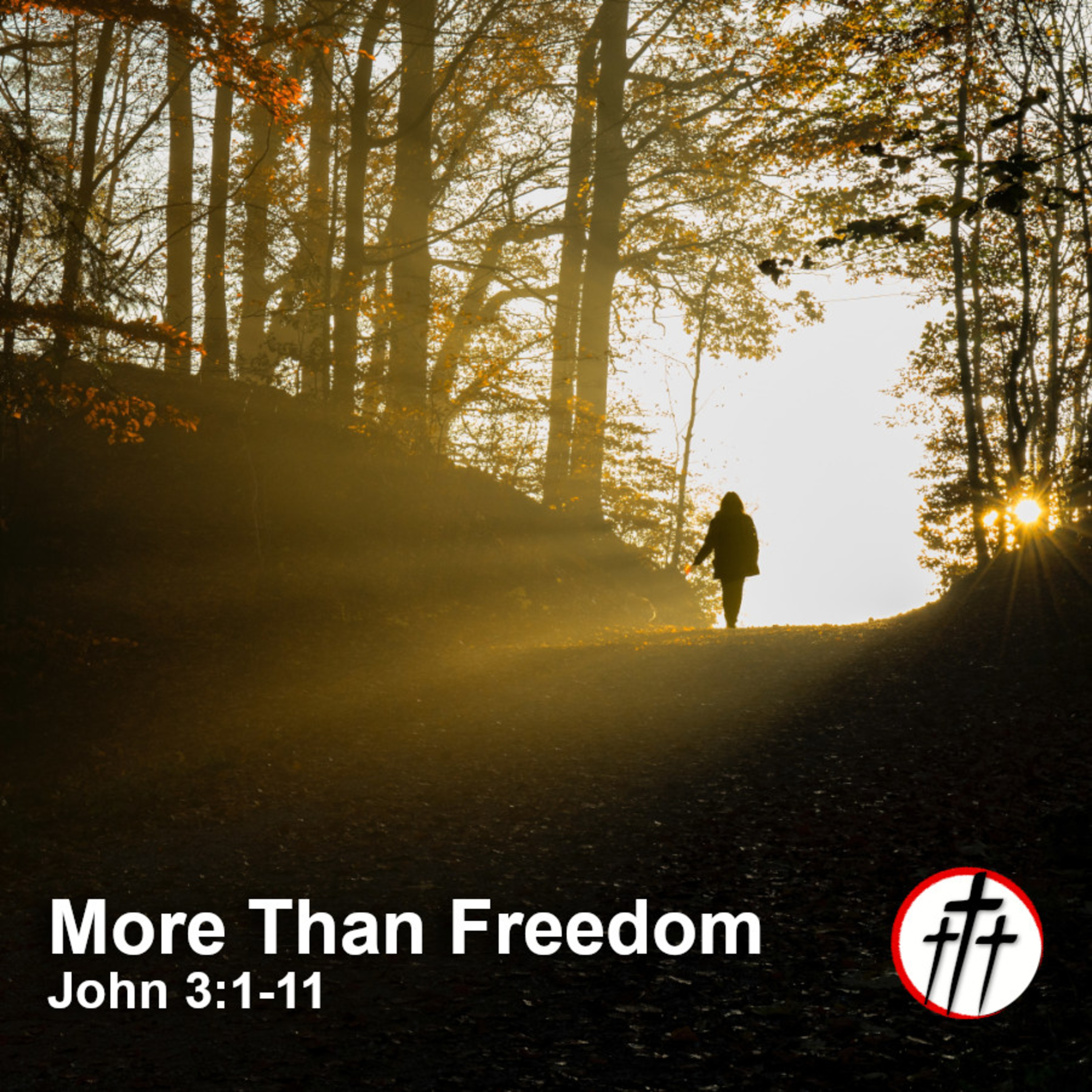 More Than Freedom w/ Thomas Hoey episode artwork