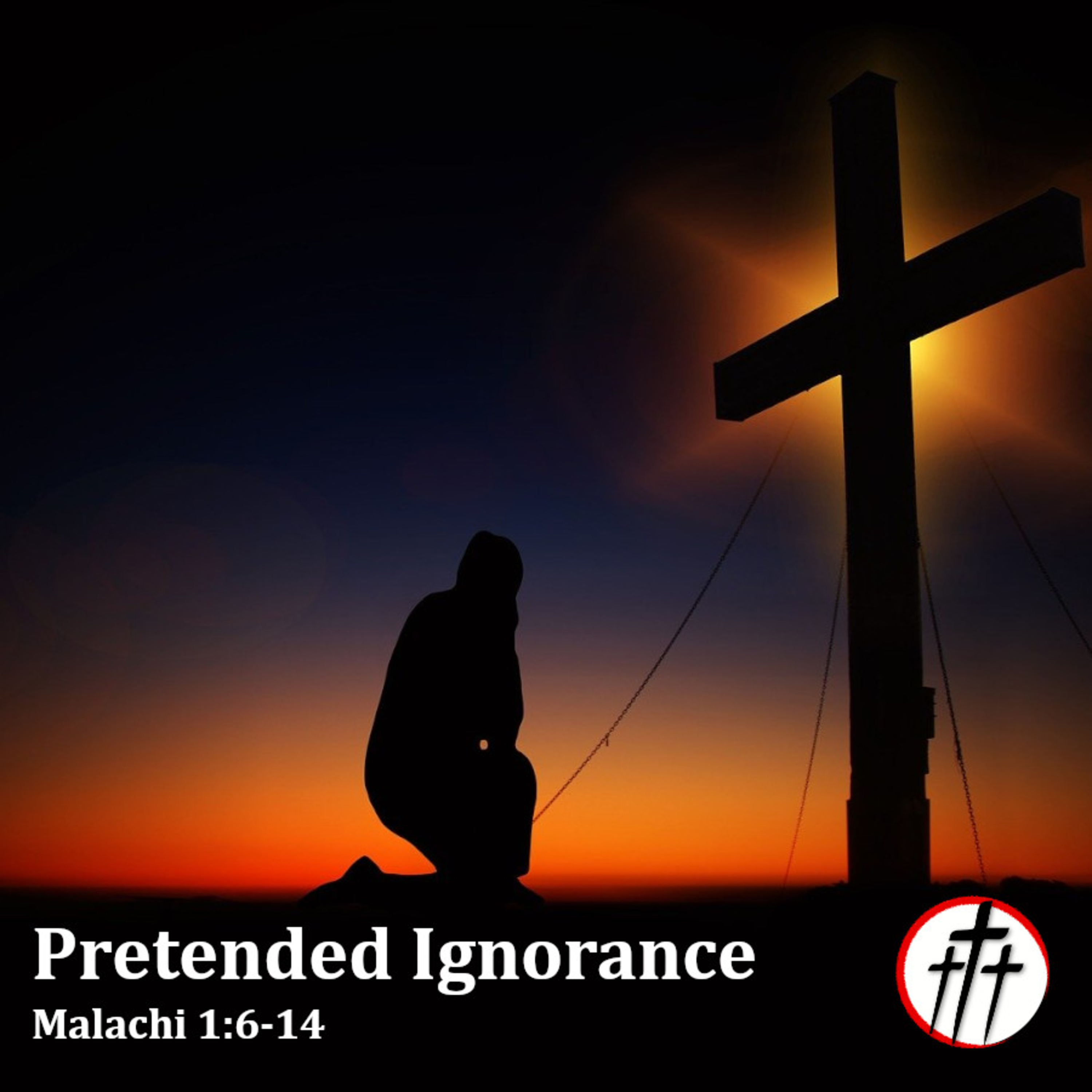 Pretended Ignorance episode artwork