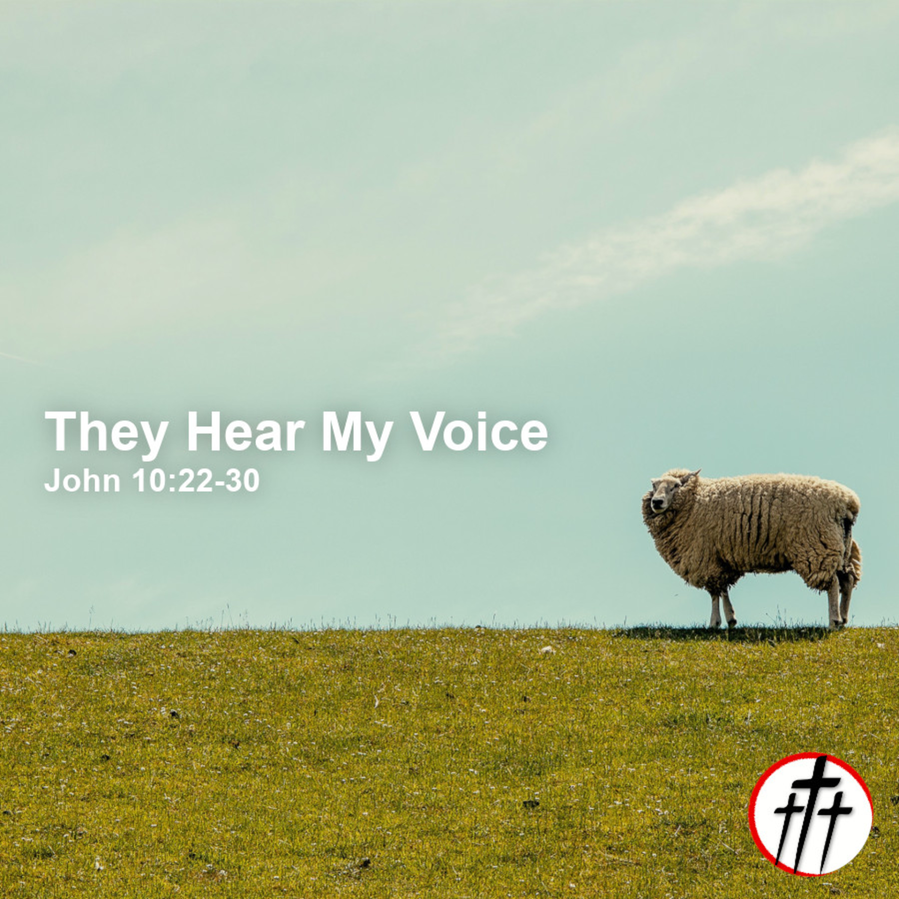 They Hear My Voice episode artwork