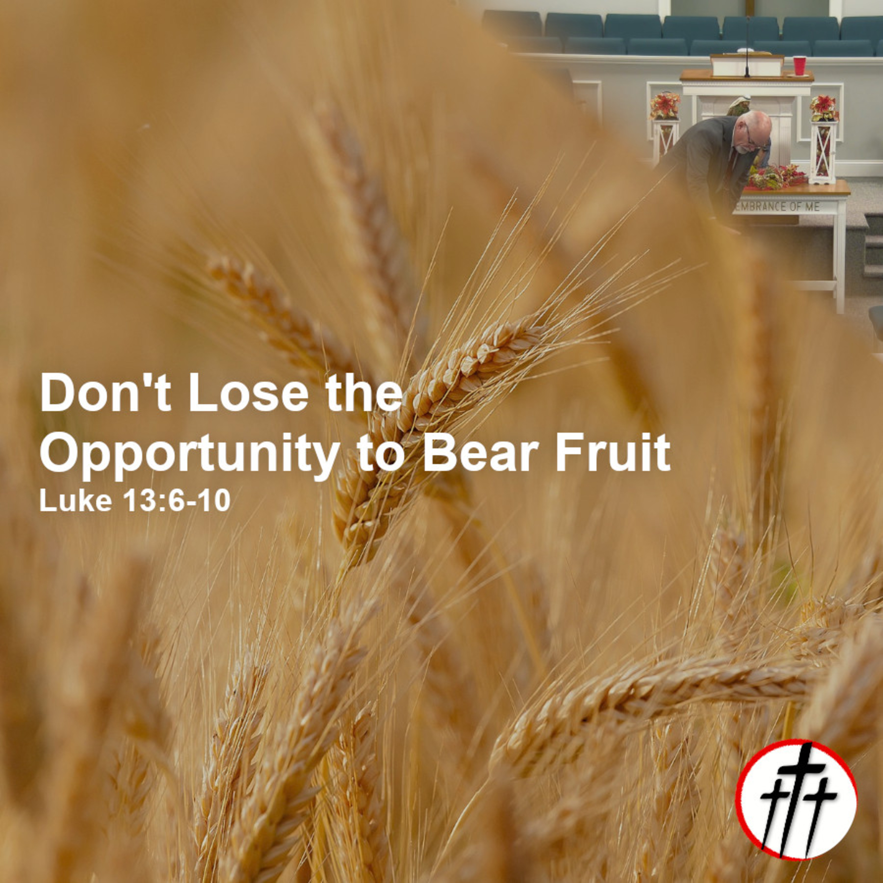 Don't Lose the Opportunity to Bear Fruit episode artwork