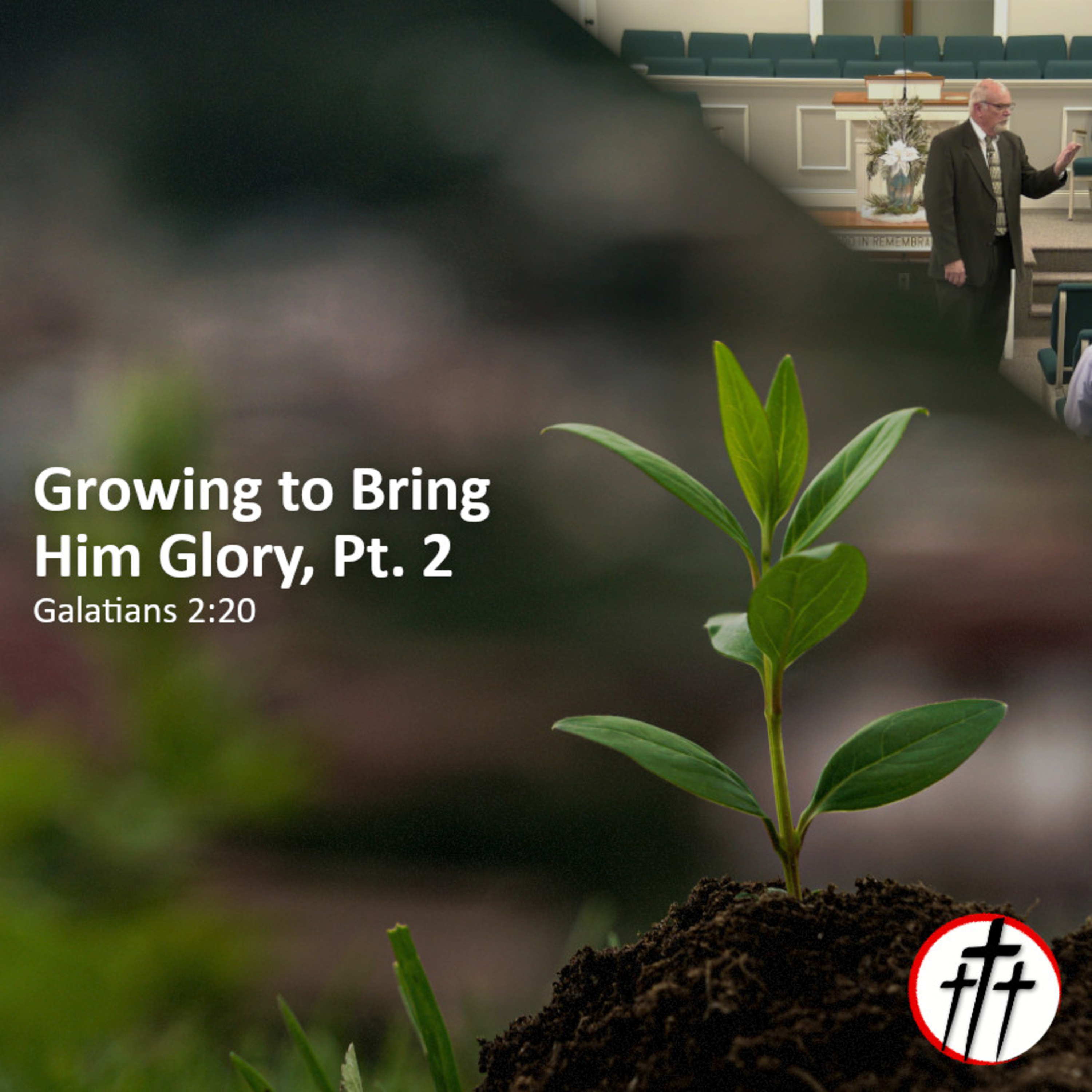 Identity is Key to Spiritual Growth (Growing to Bring Him Glory, Pt. 2) episode artwork