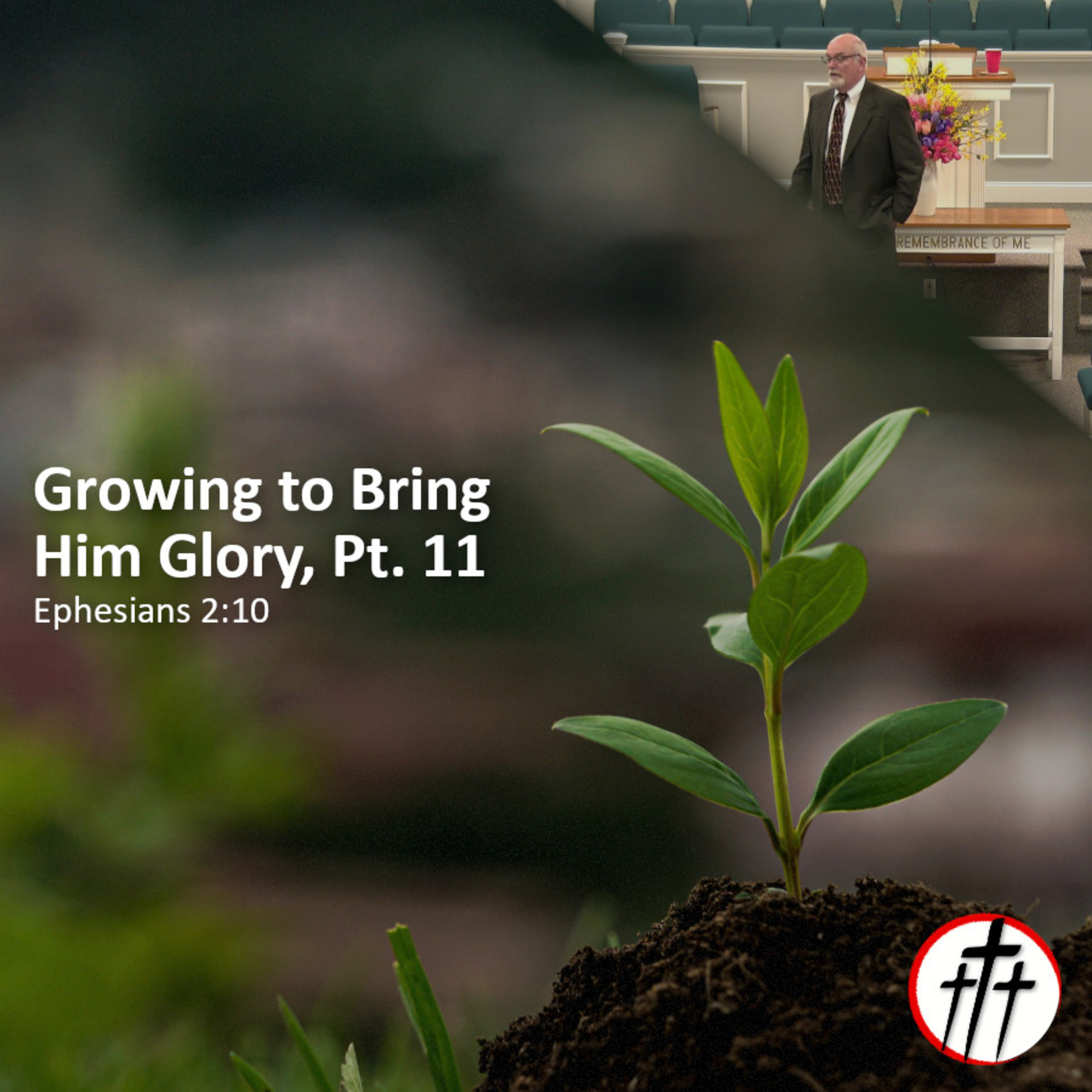 Your Calling and Purpose for His Glory (Growing to Bring Him Glory, Pt. 11) episode artwork