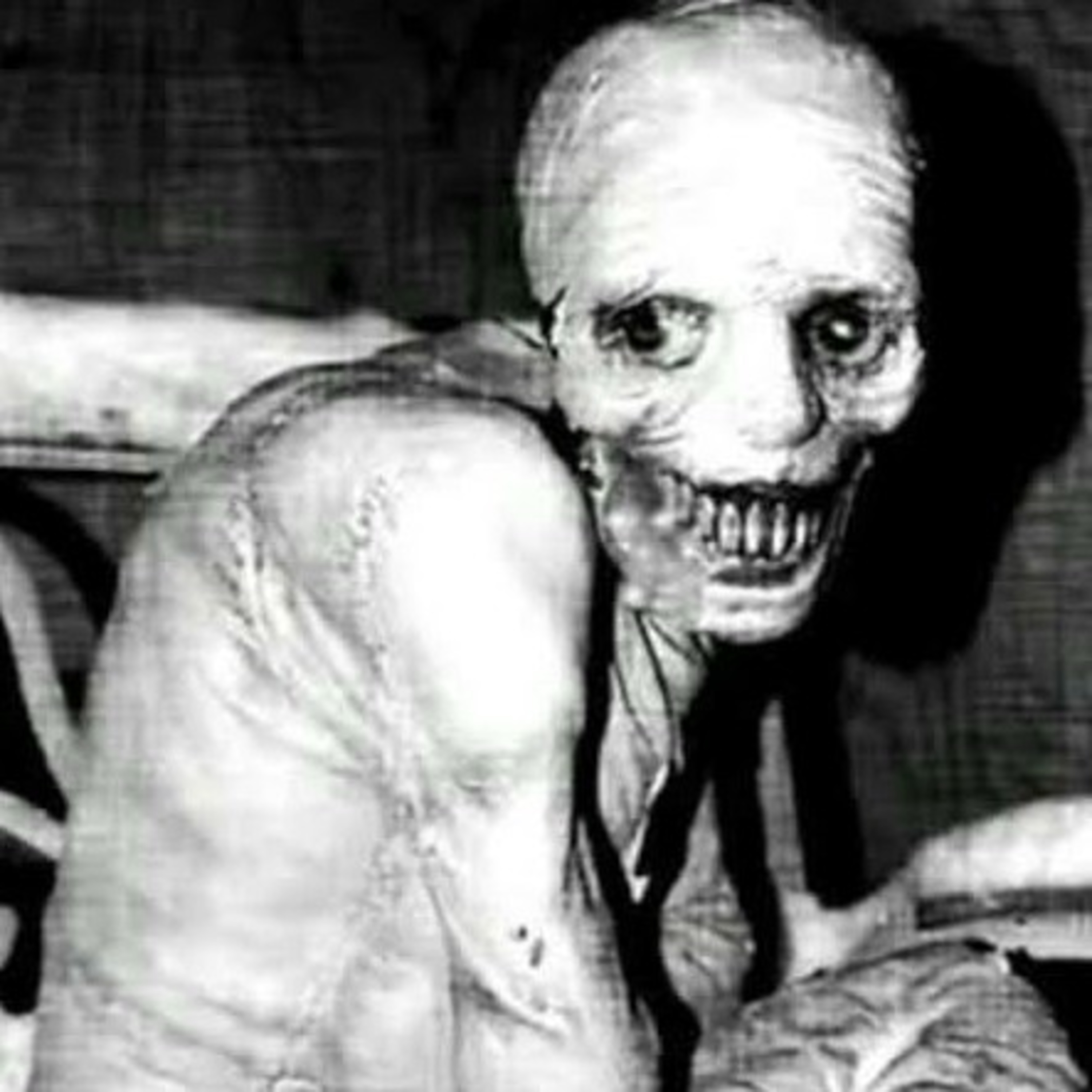 Largos Días Y Placidas Noches