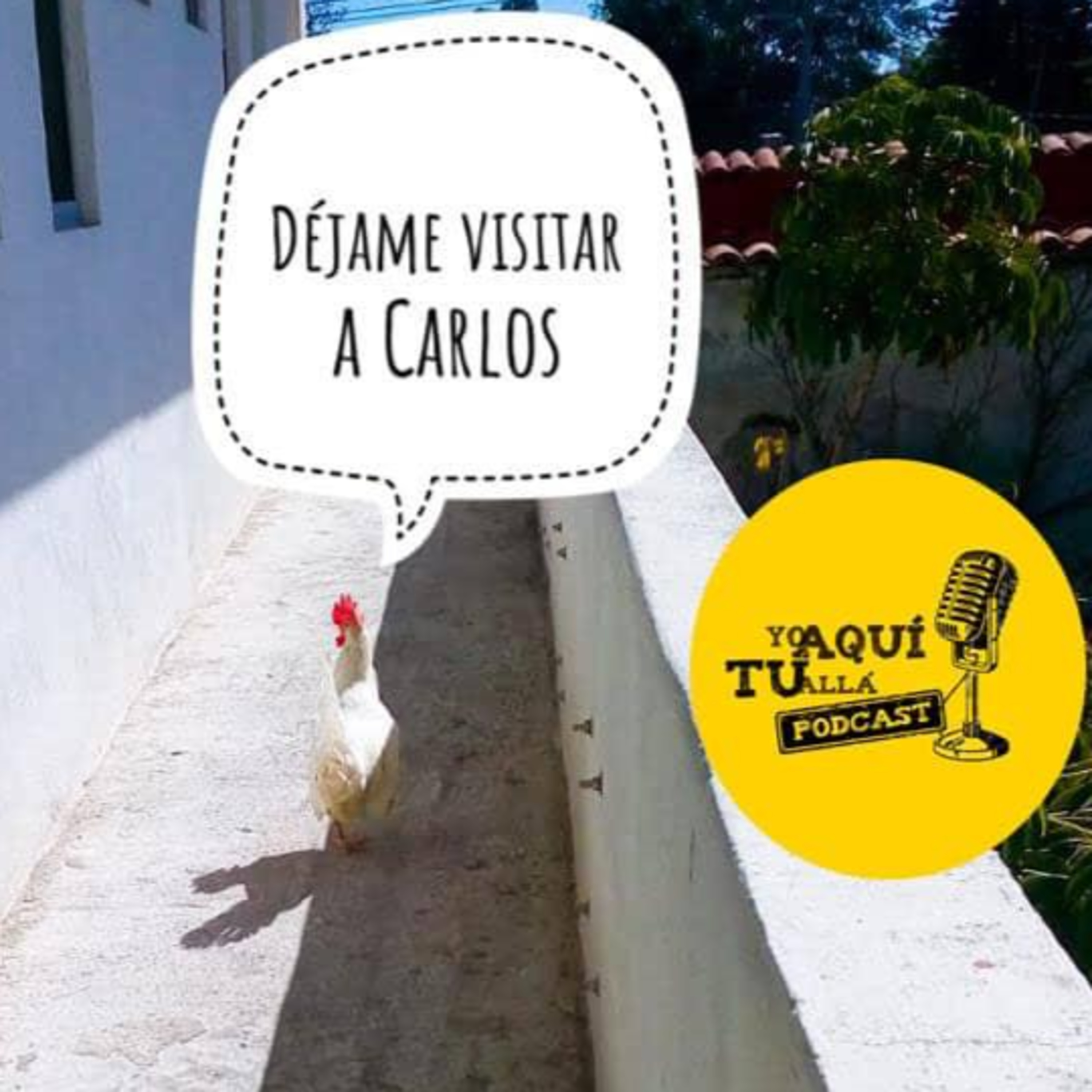 Yo aquí, tú allá