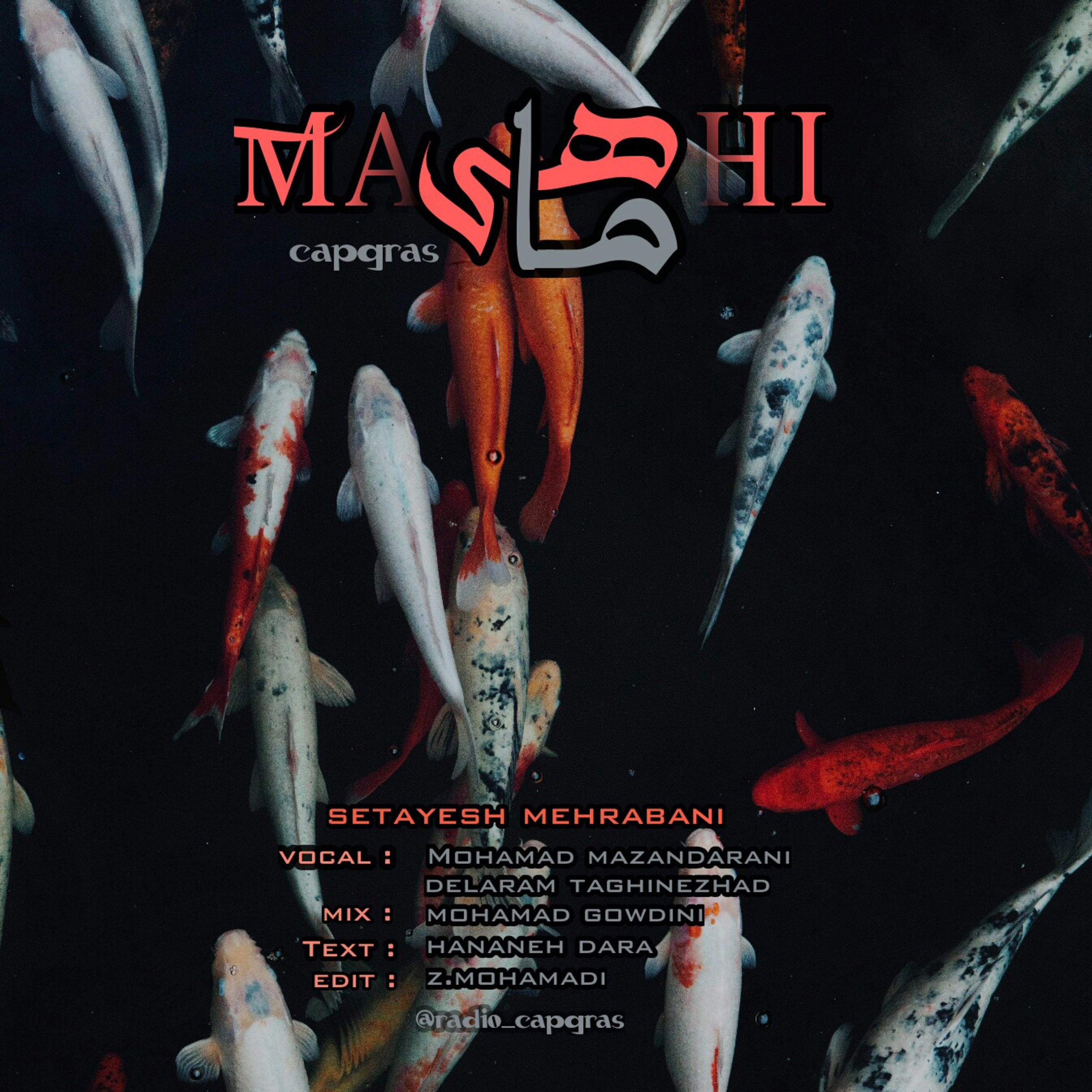 ماهی 1 episode artwork