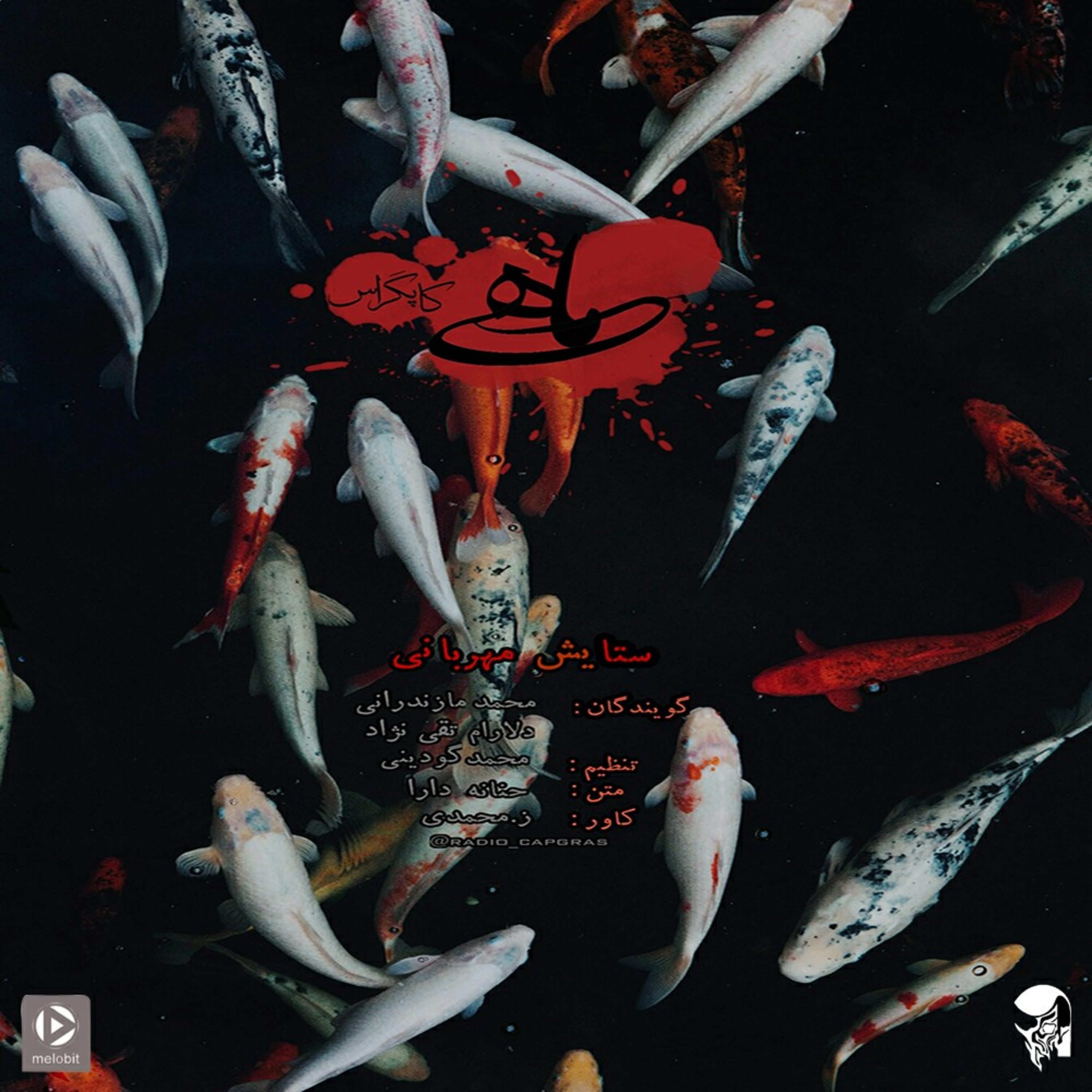 ماهی2 episode artwork