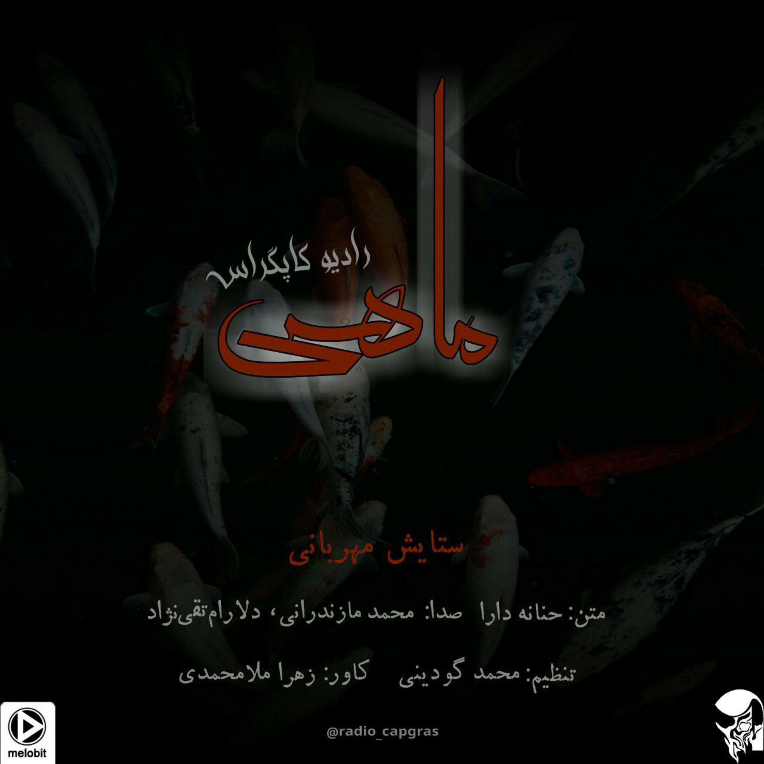 ماهی4 episode artwork