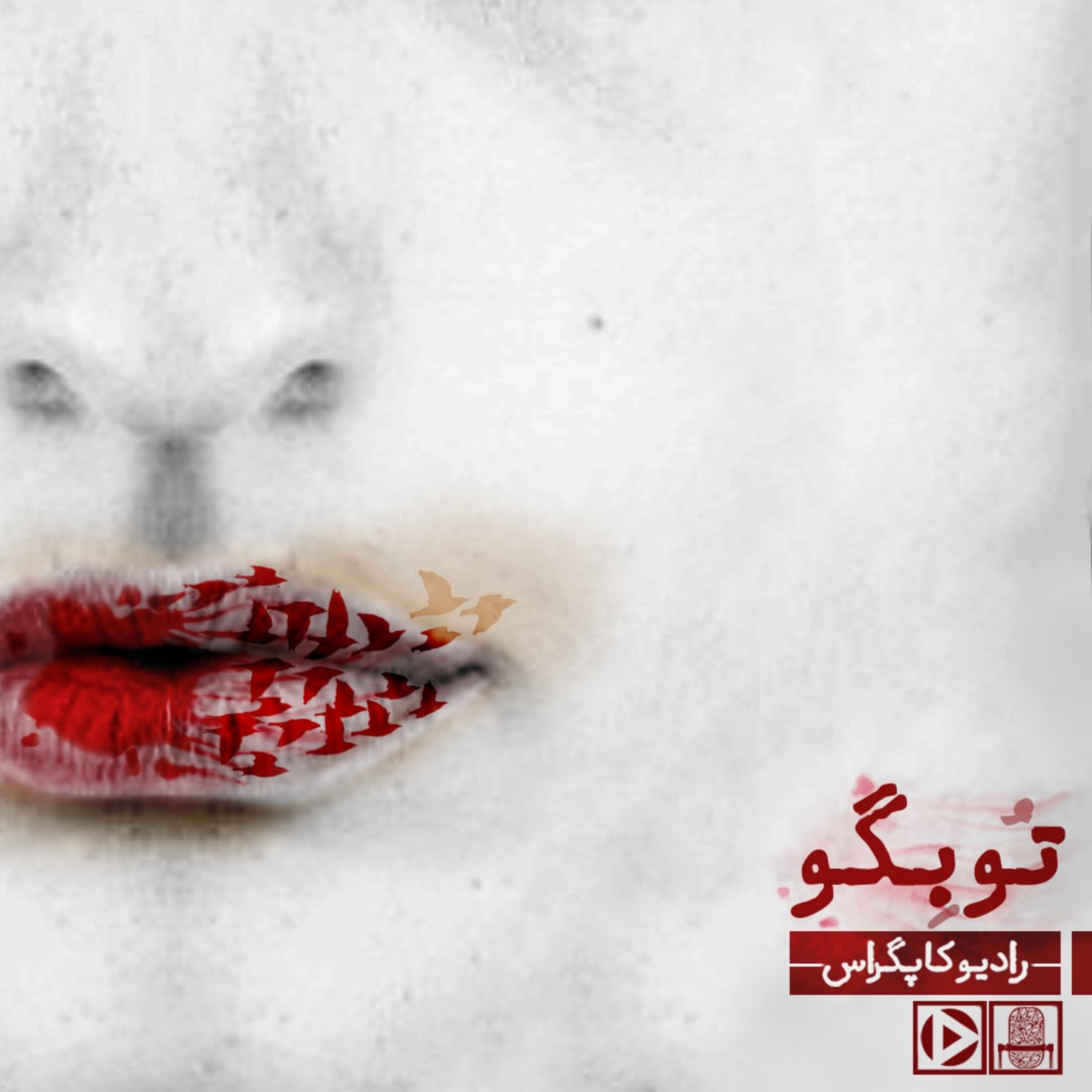 تو بگو episode artwork