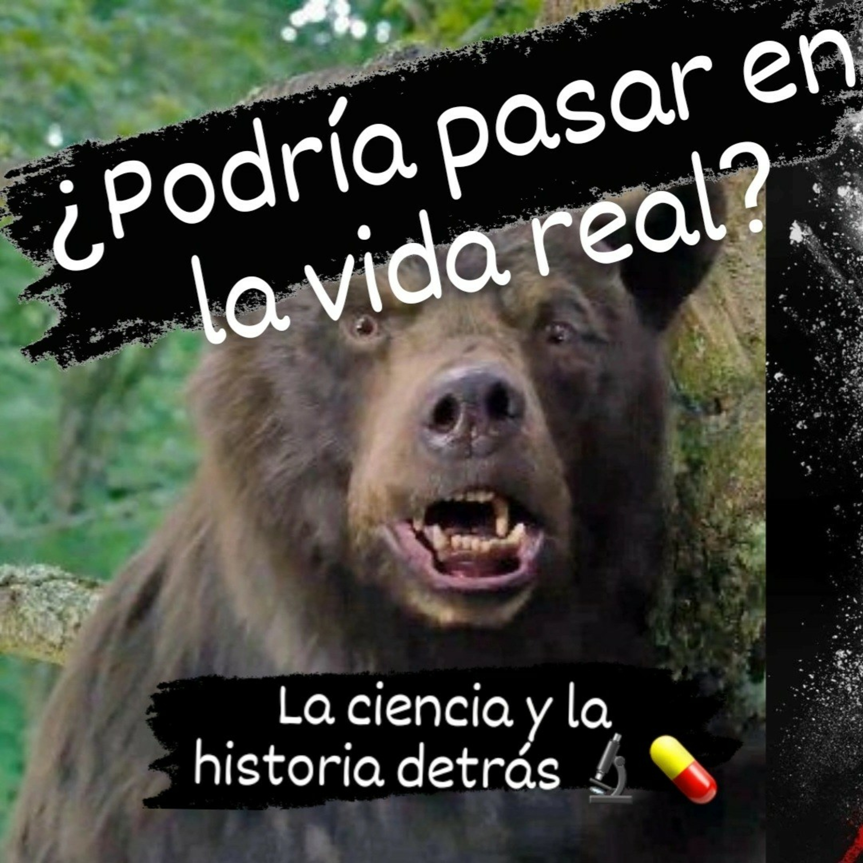 Estación Noisy Bear