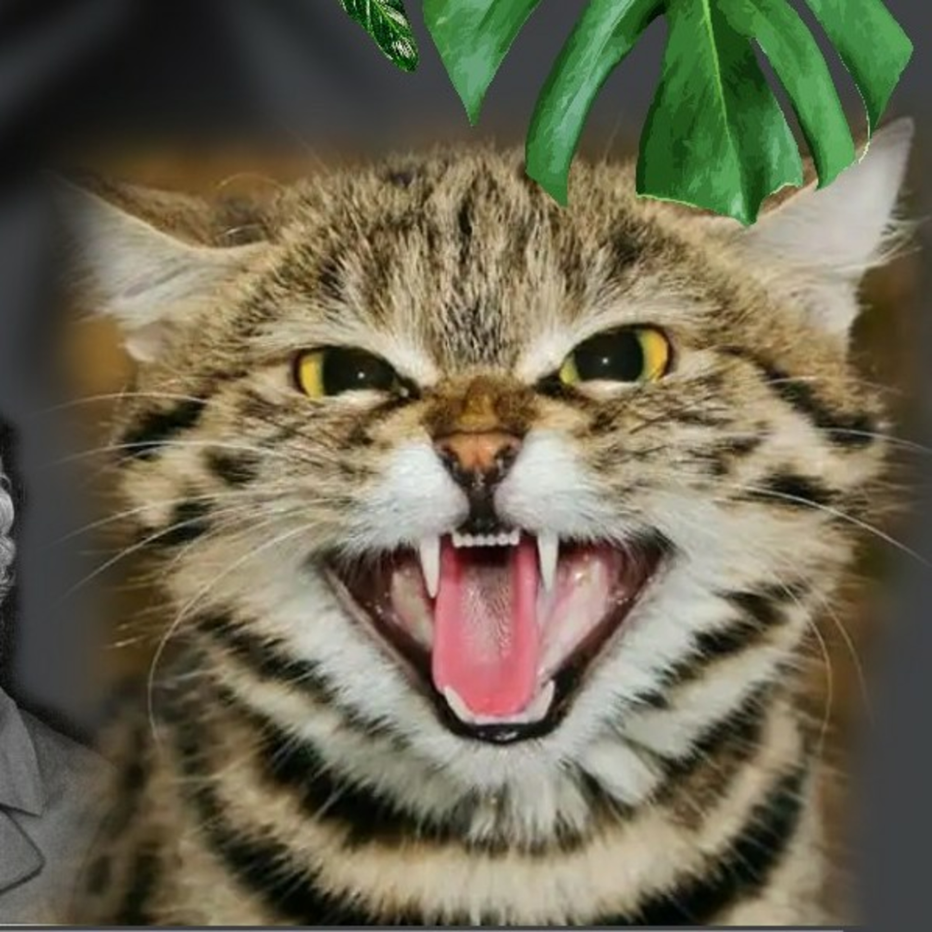 Estación Noisy Bear