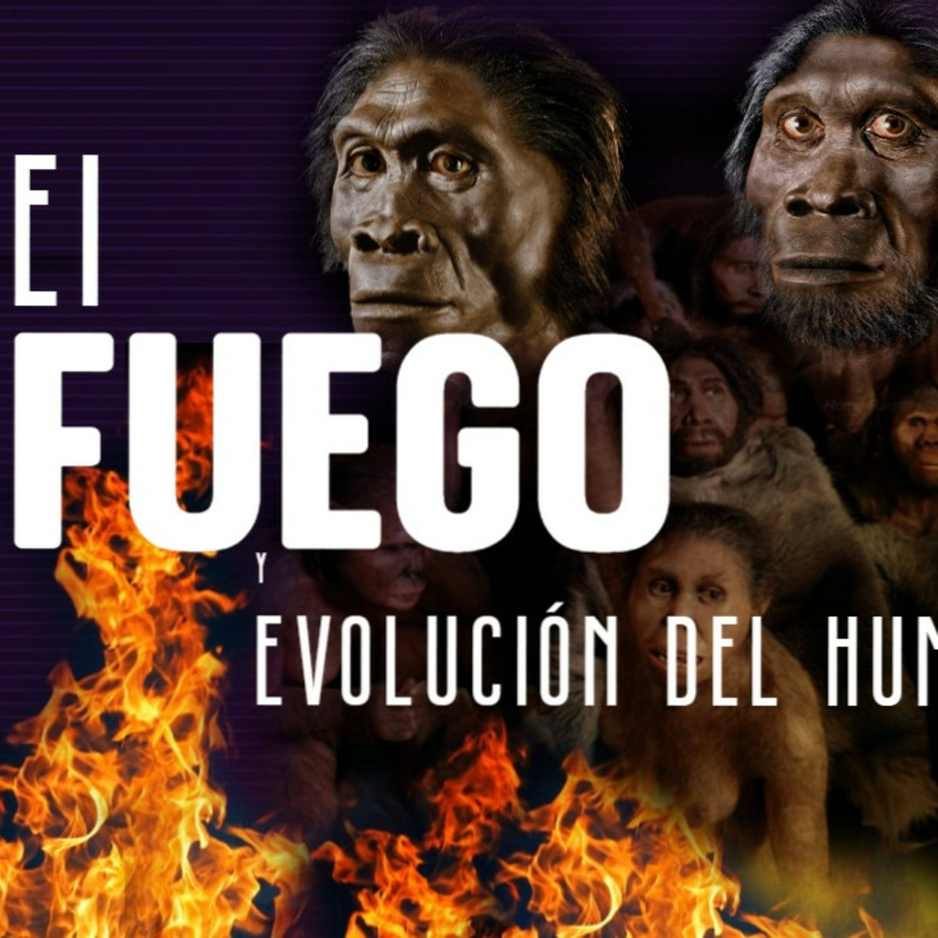 Estación Noisy Bear