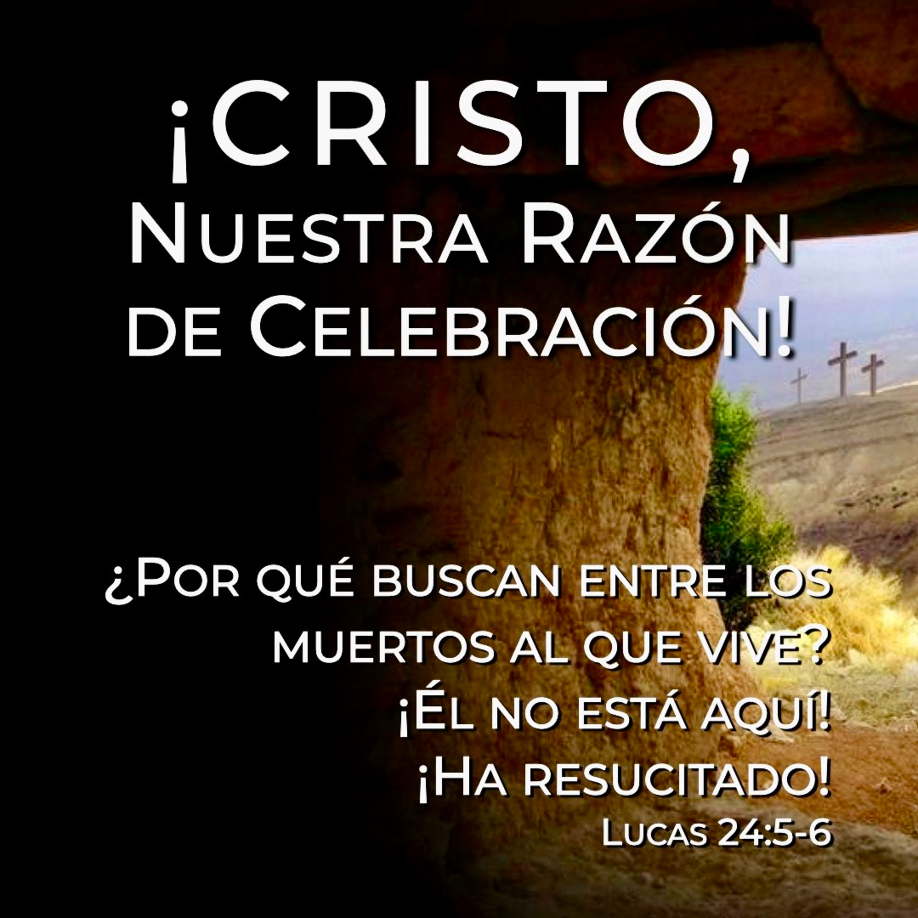 ¡Cristo, Nuestra Razón de Celebración! episode artwork