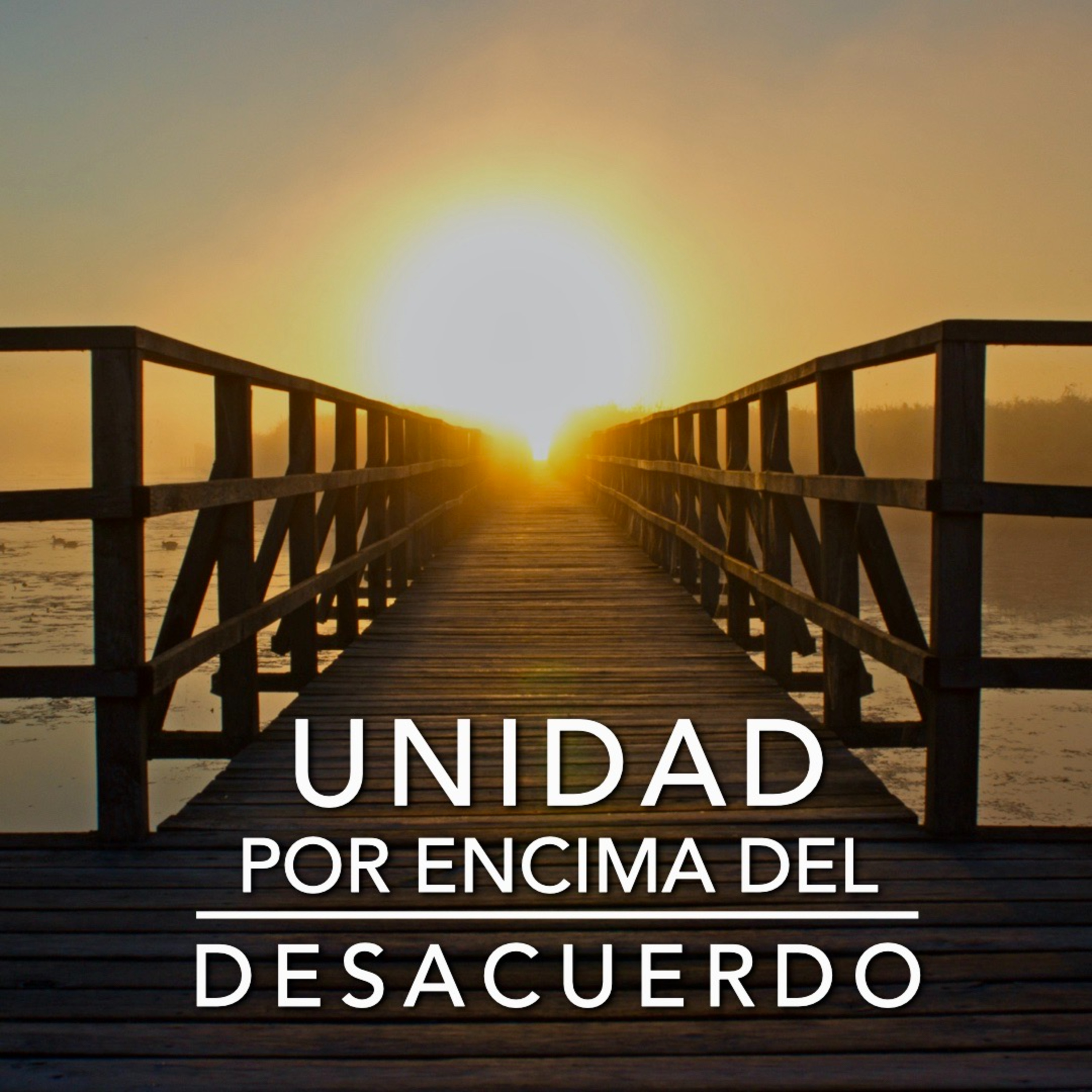 Unidad por Encima del Desacuerdo episode artwork