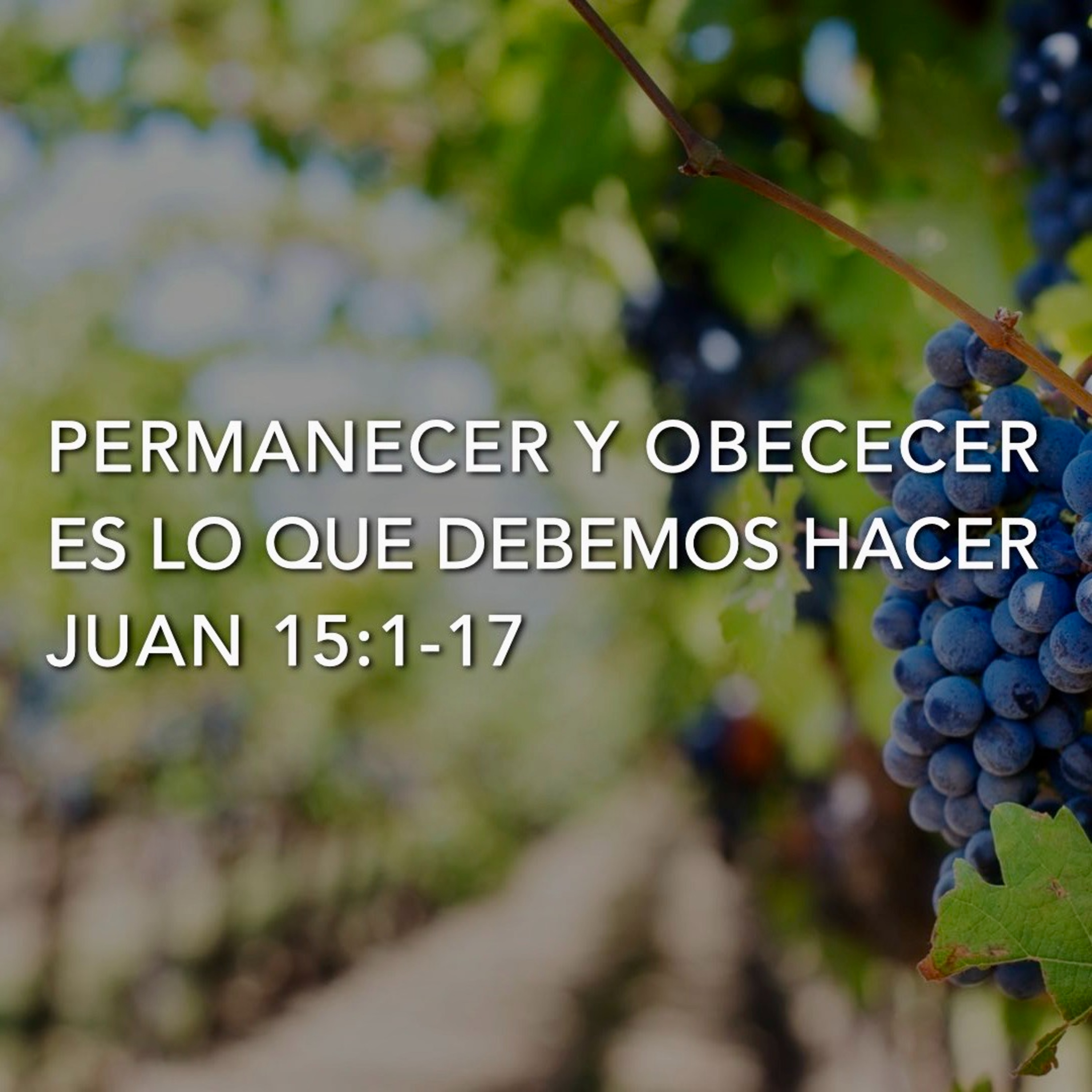 Permanecer y Obedecer es lo que Debemos Hacer