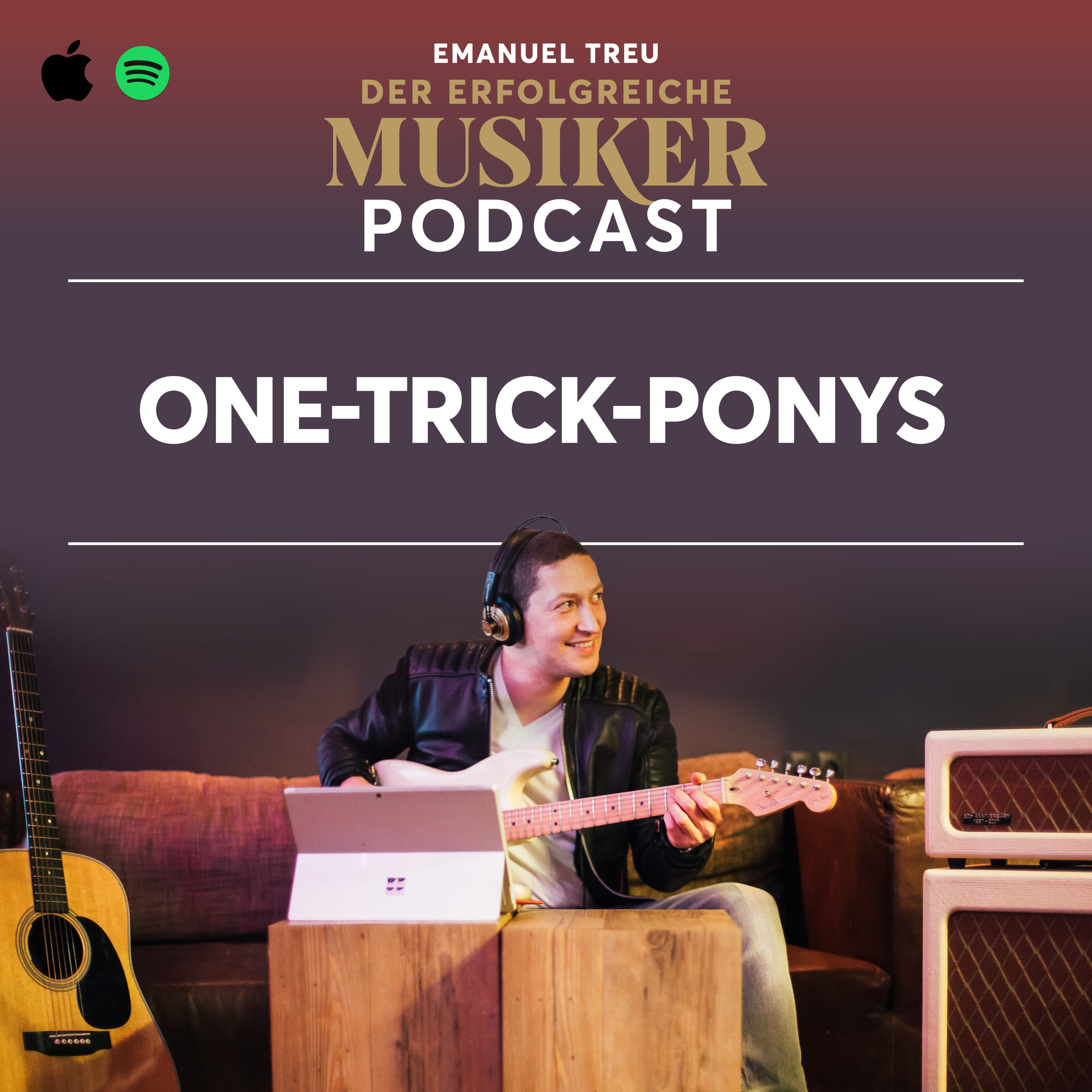 Der erfolgreiche Musiker Podcast