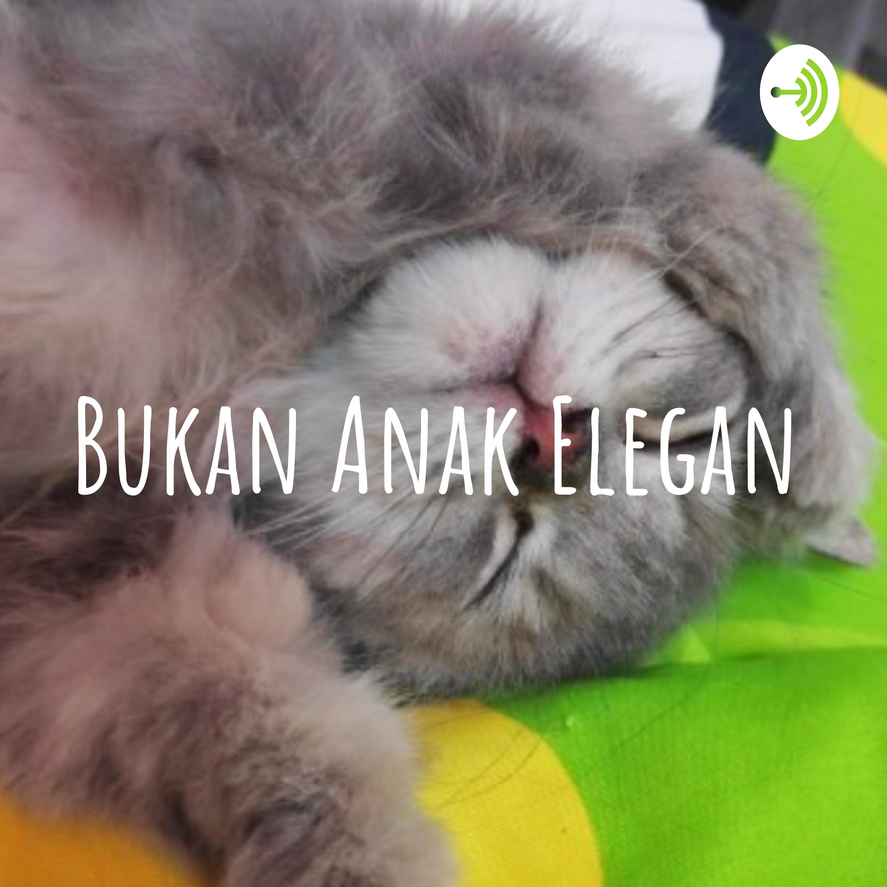 Bukan Anak Elegan
