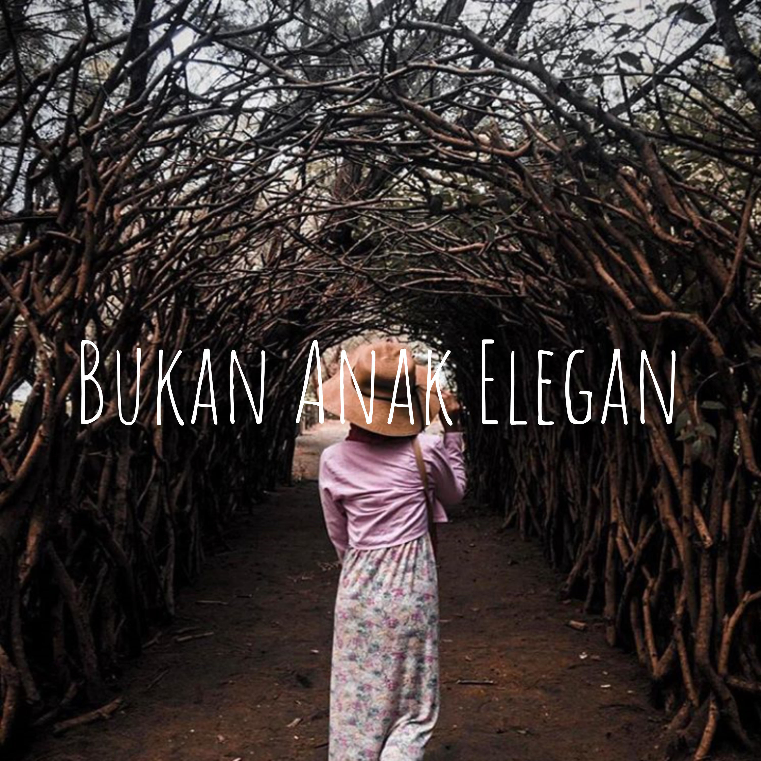 Bukan Anak Elegan