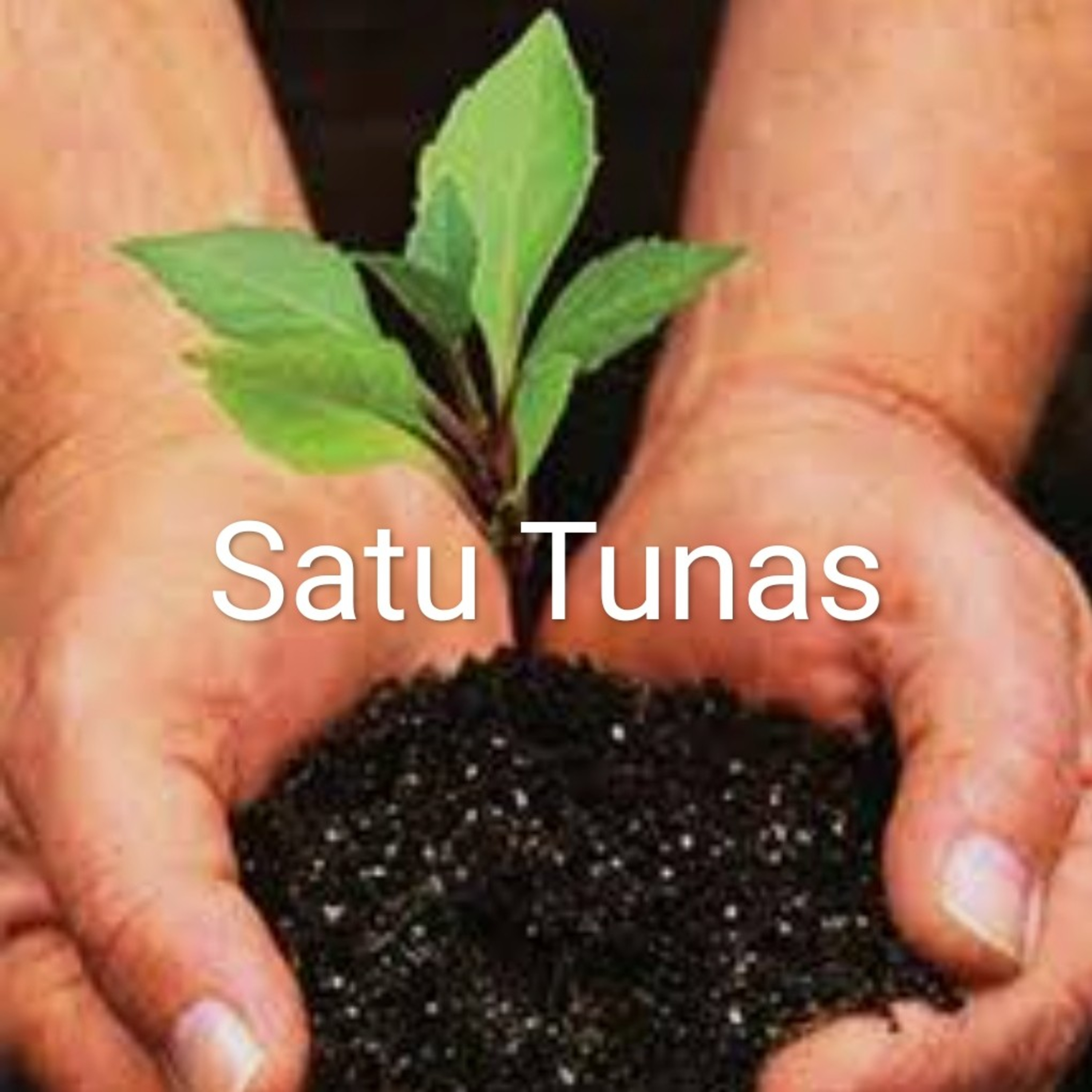 Renungan Satu Tunas Oleh Pdt. Henfri episode artwork