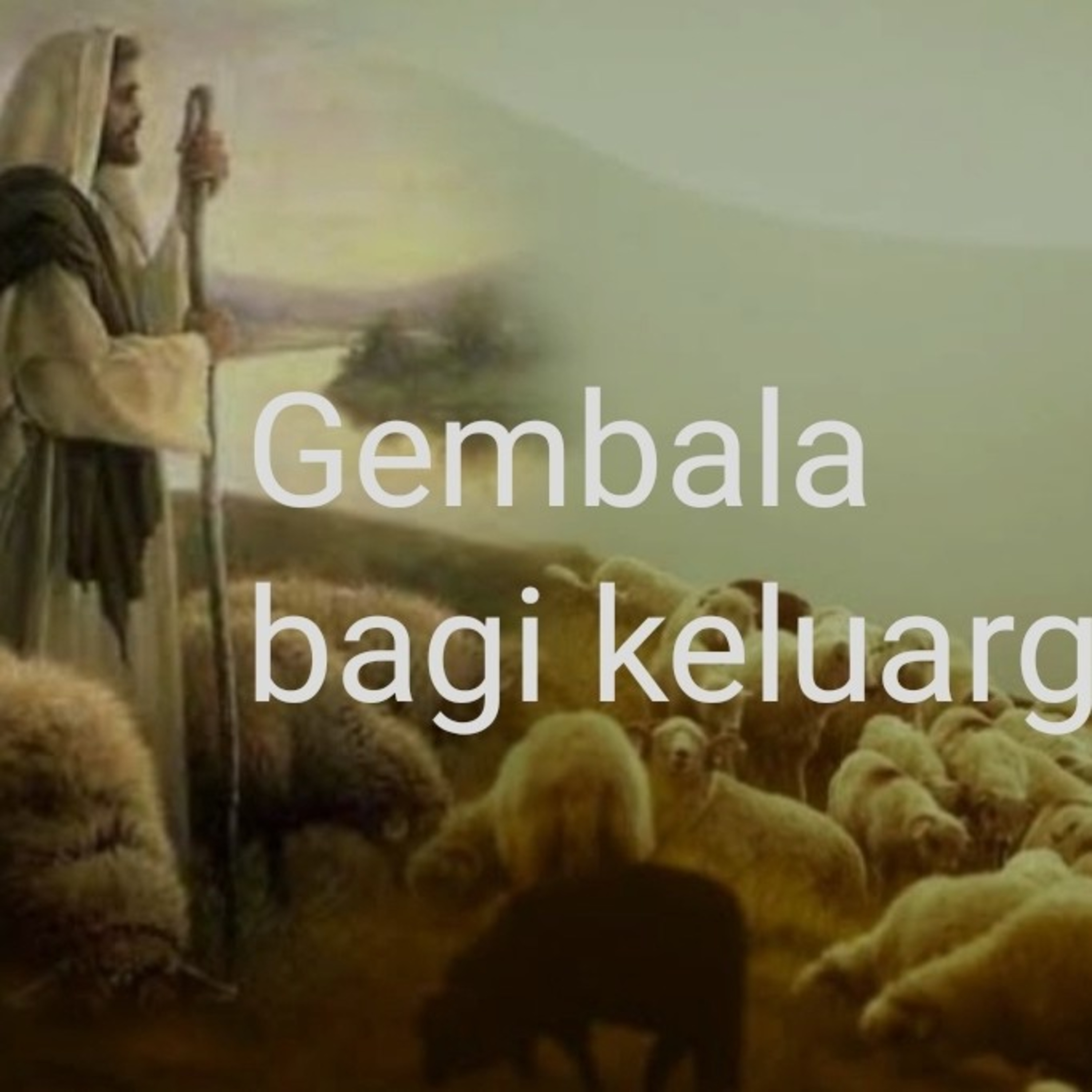 Cendrawasih News