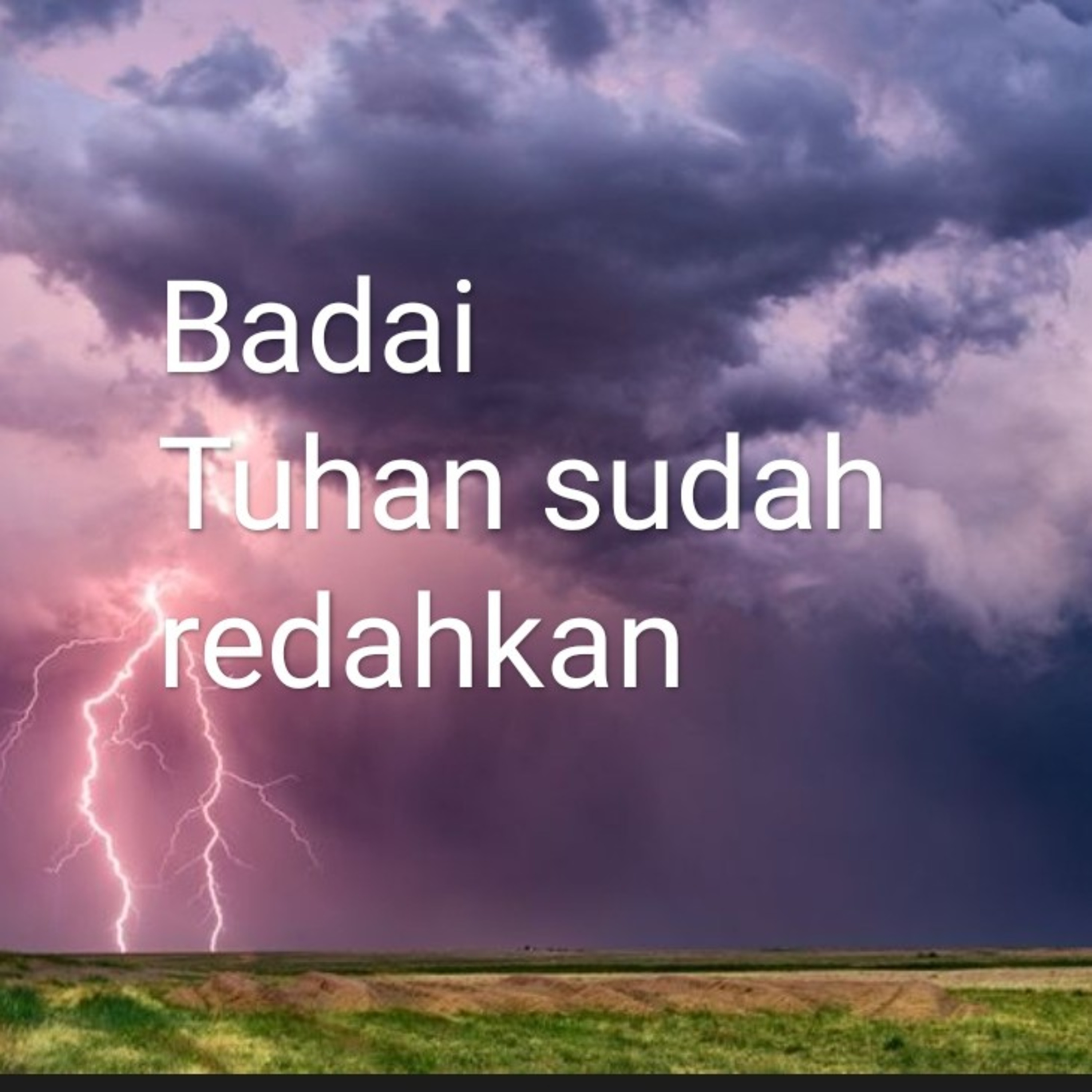 Cendrawasih News