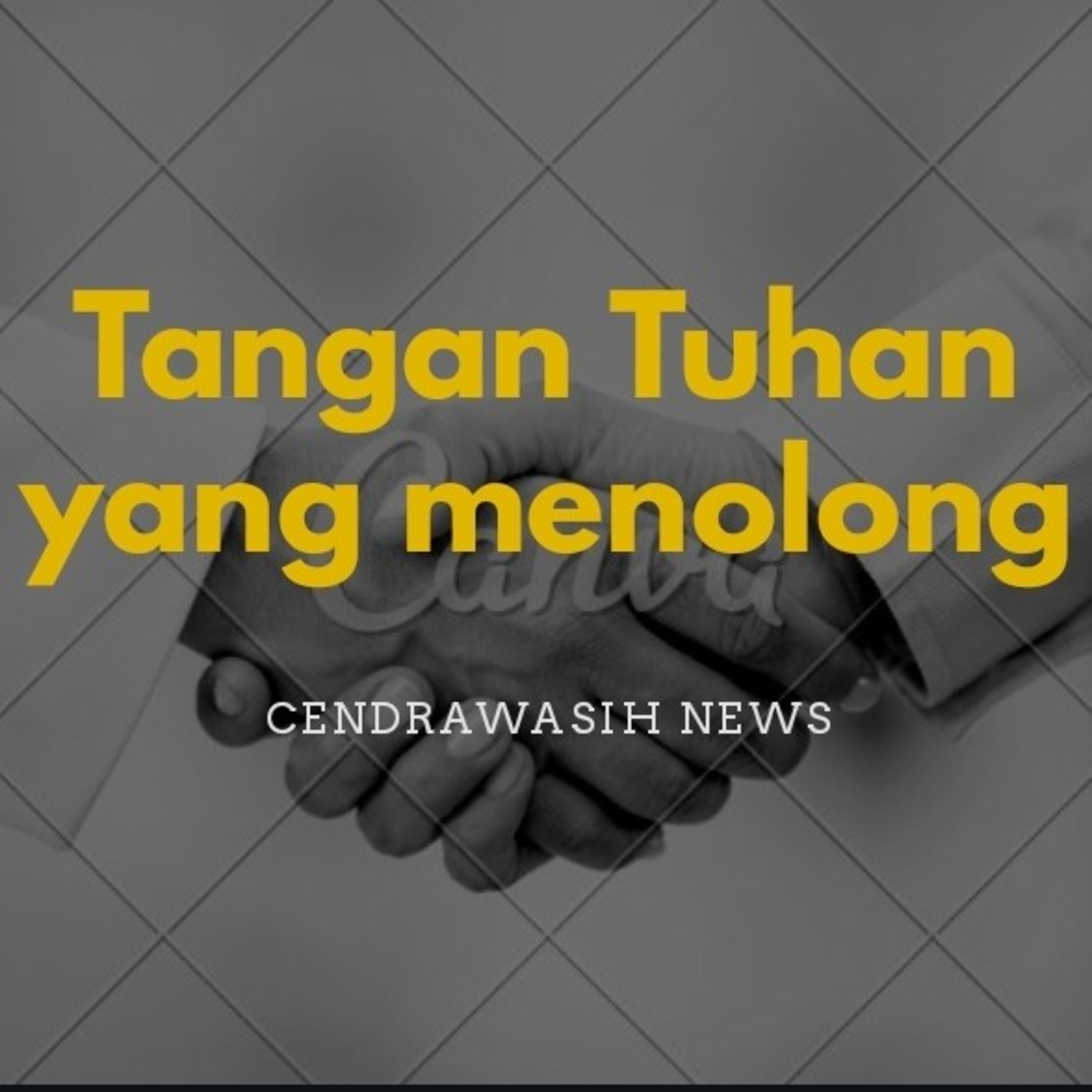 Cendrawasih News