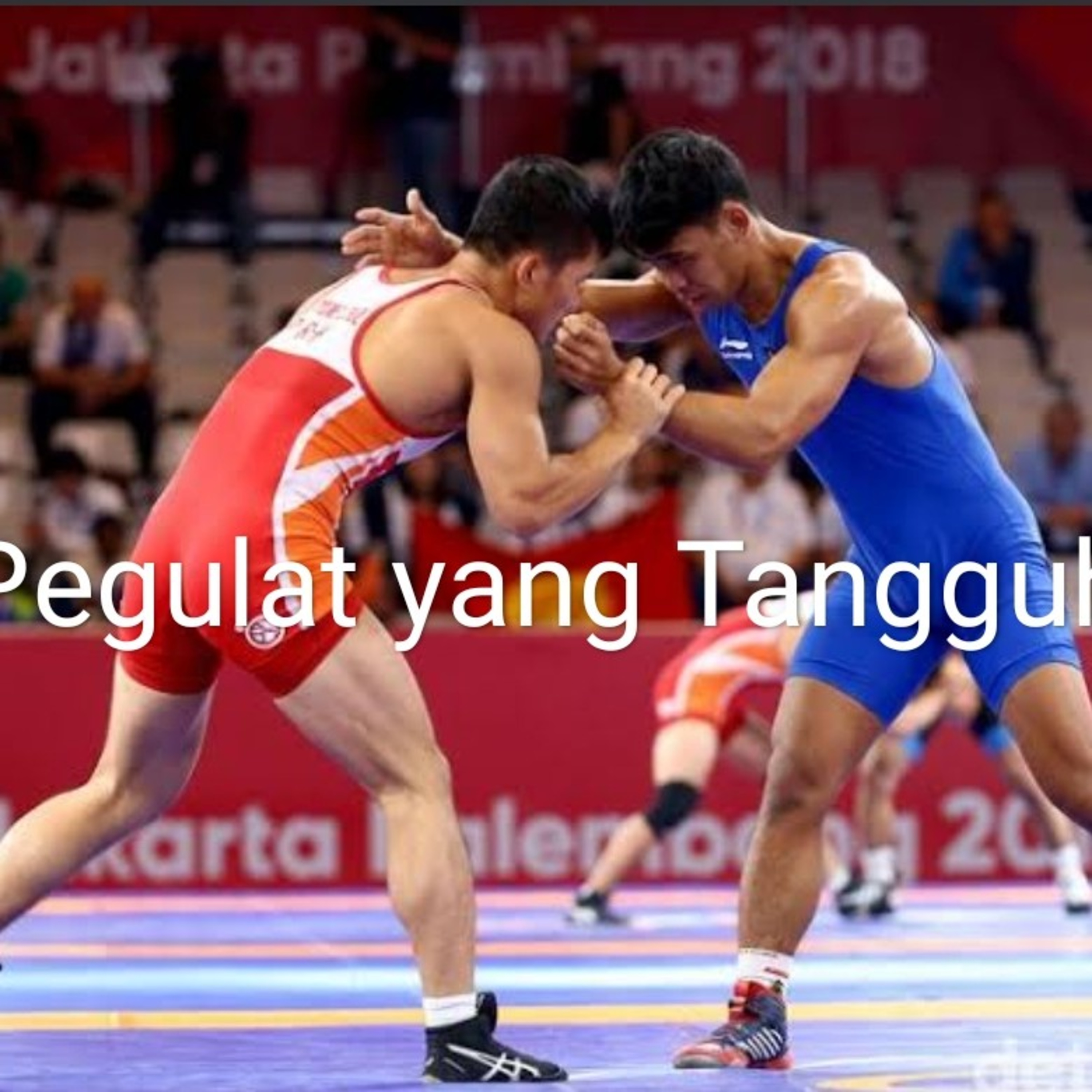 Cendrawasih News