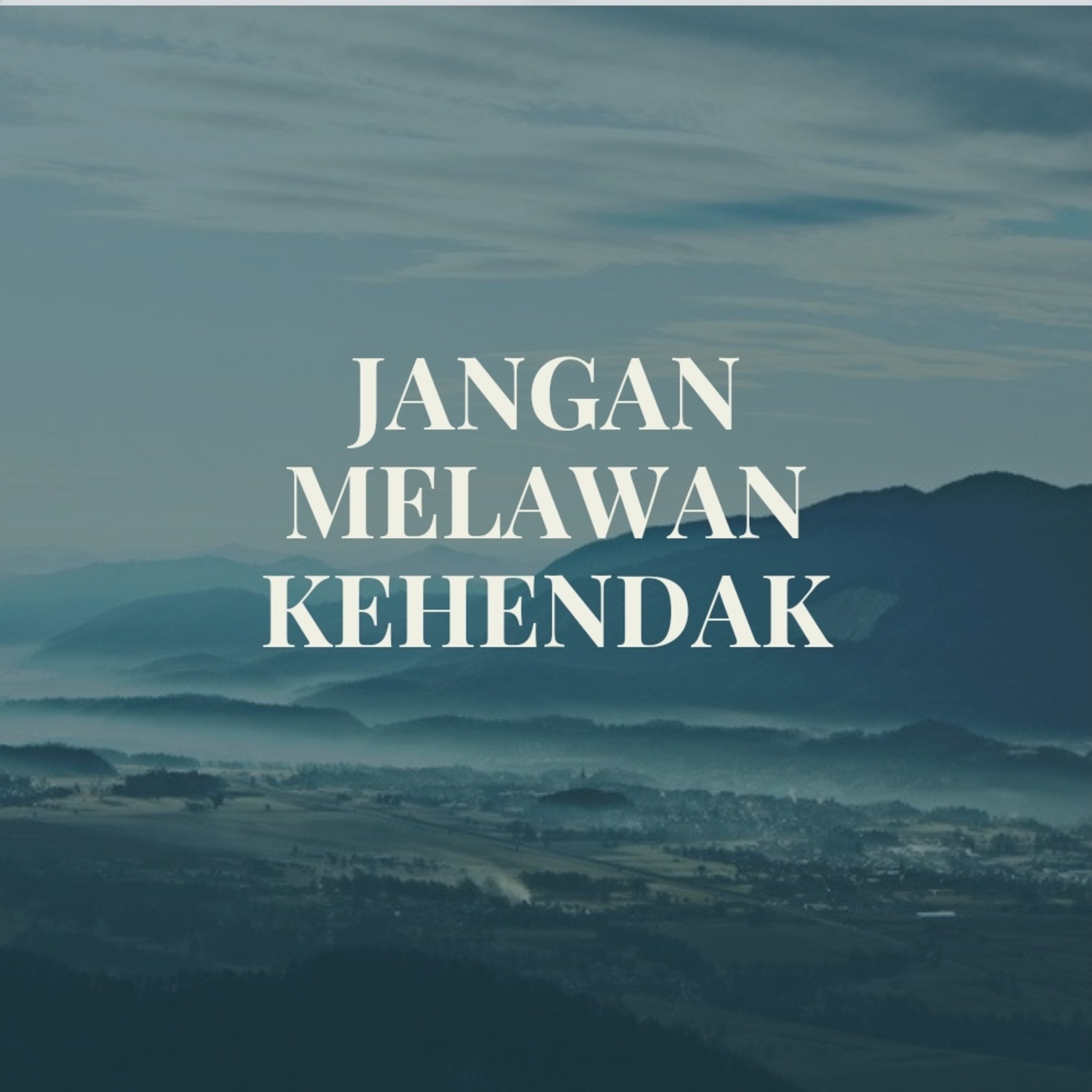 Cendrawasih News