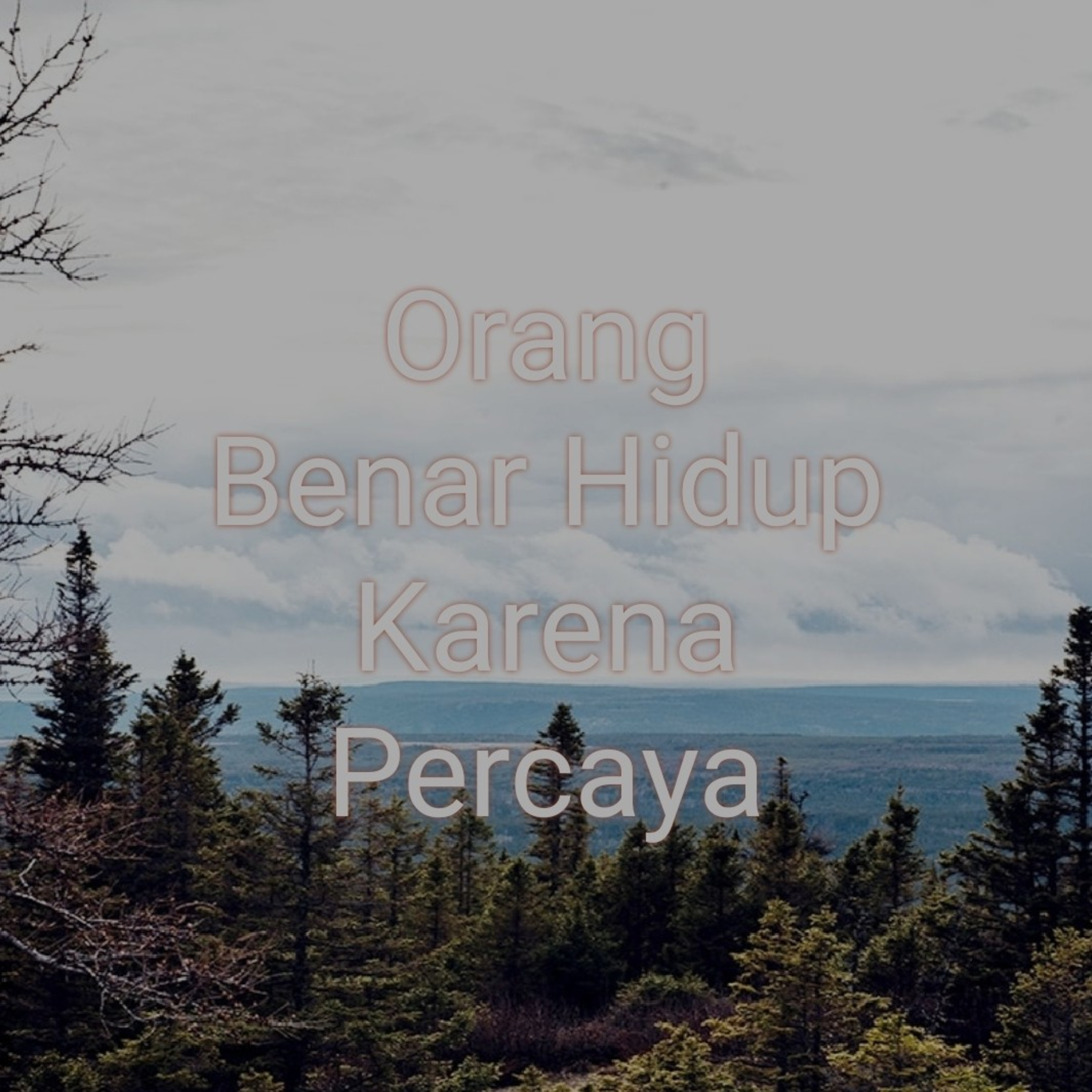 Cendrawasih News