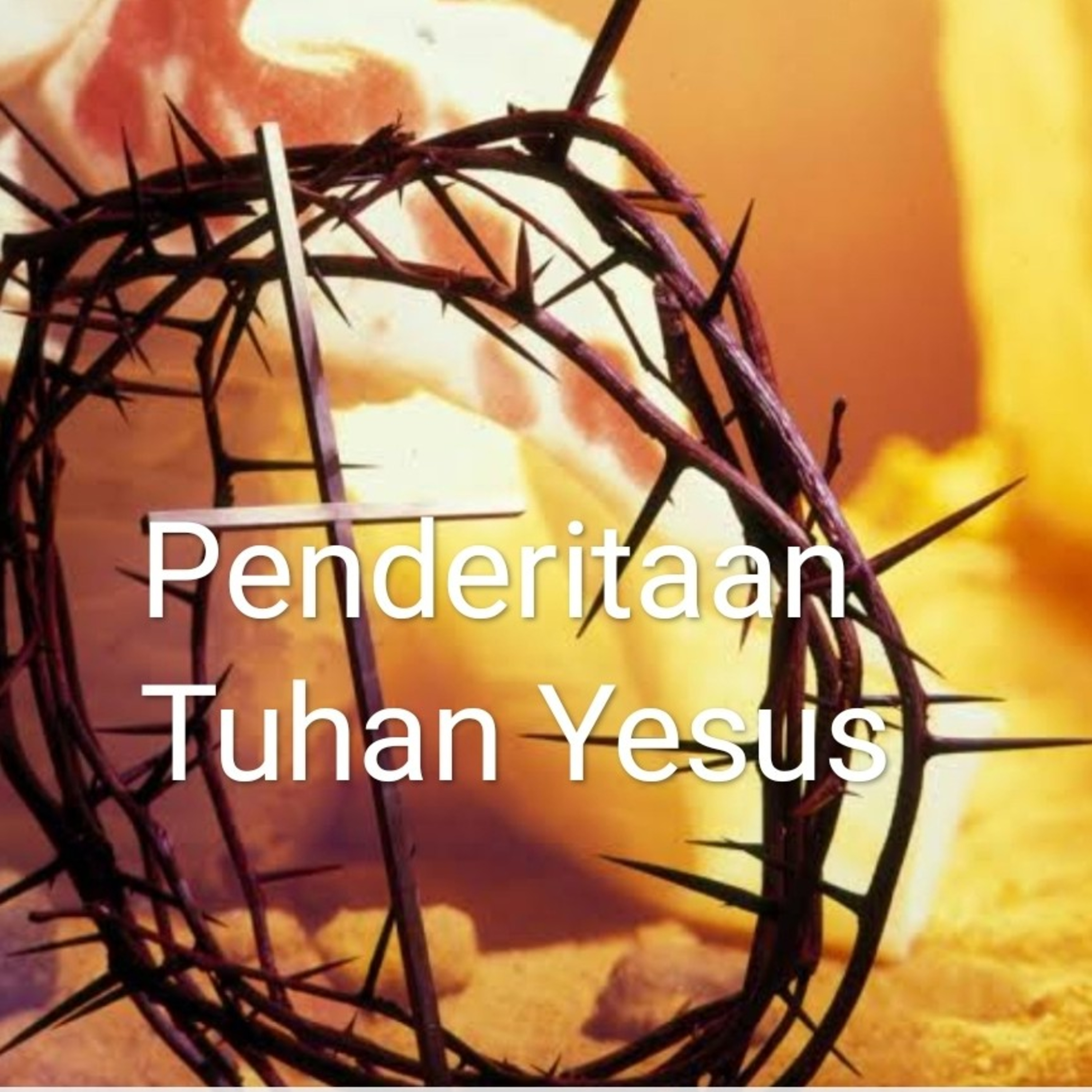 Cendrawasih News