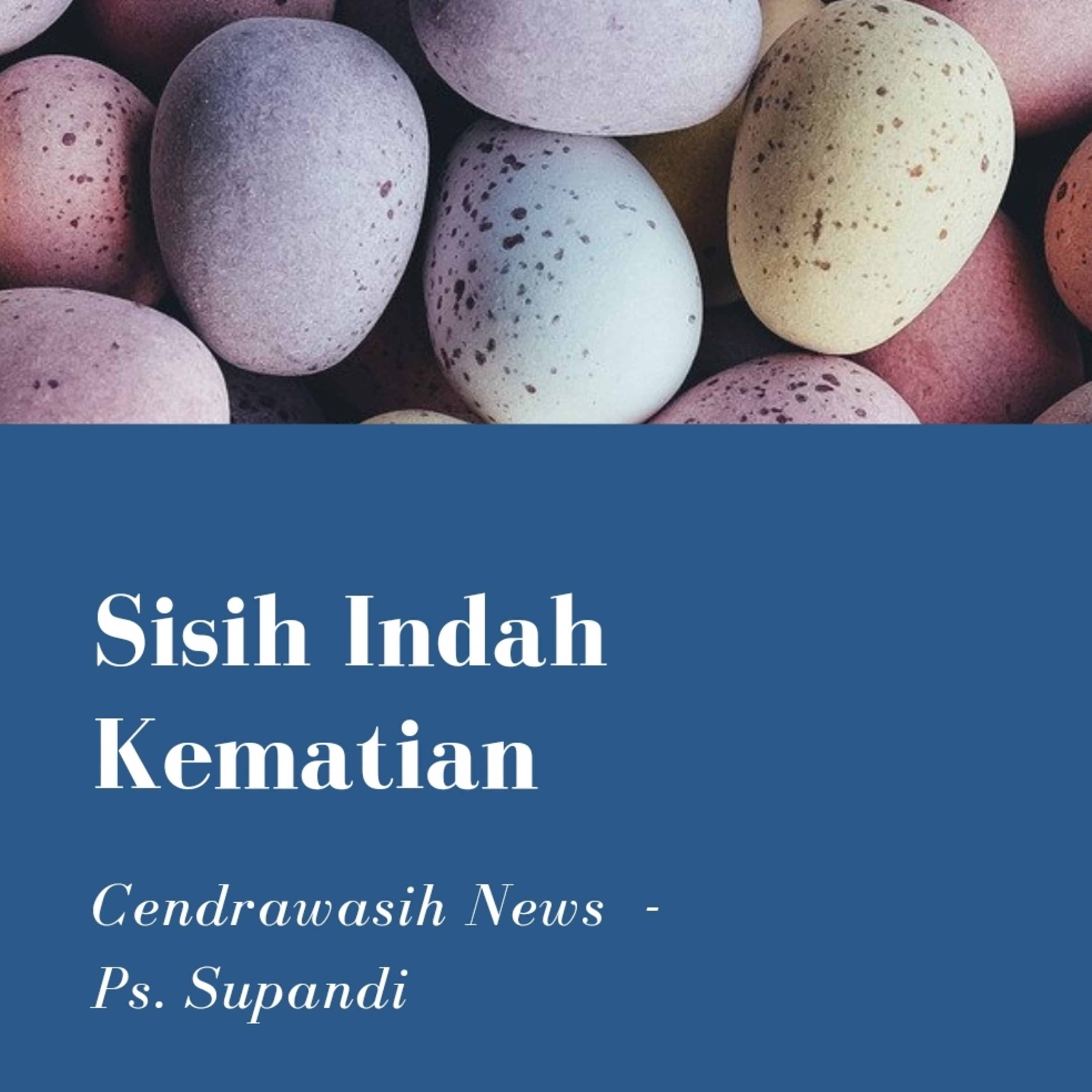 Cendrawasih News