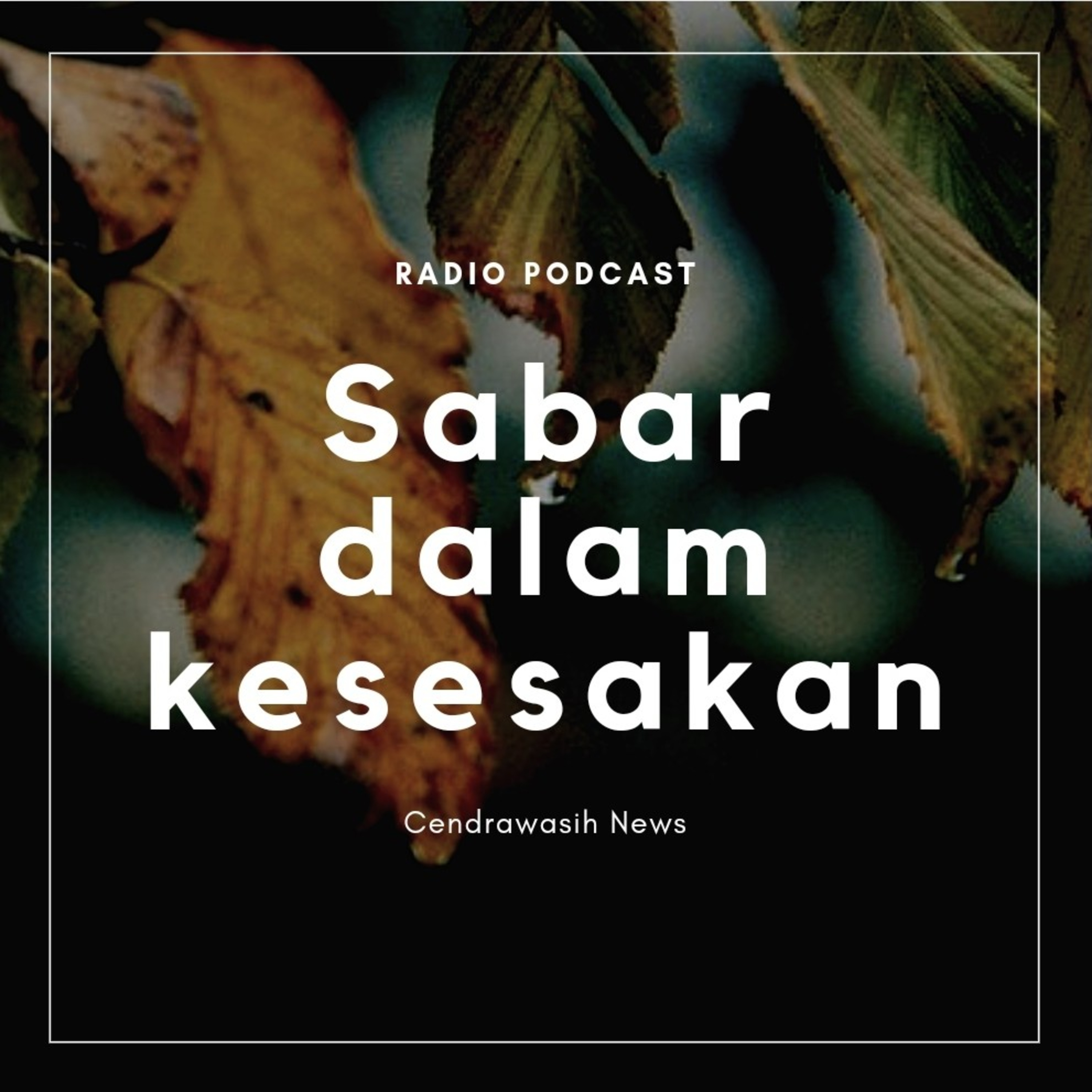 Cendrawasih News