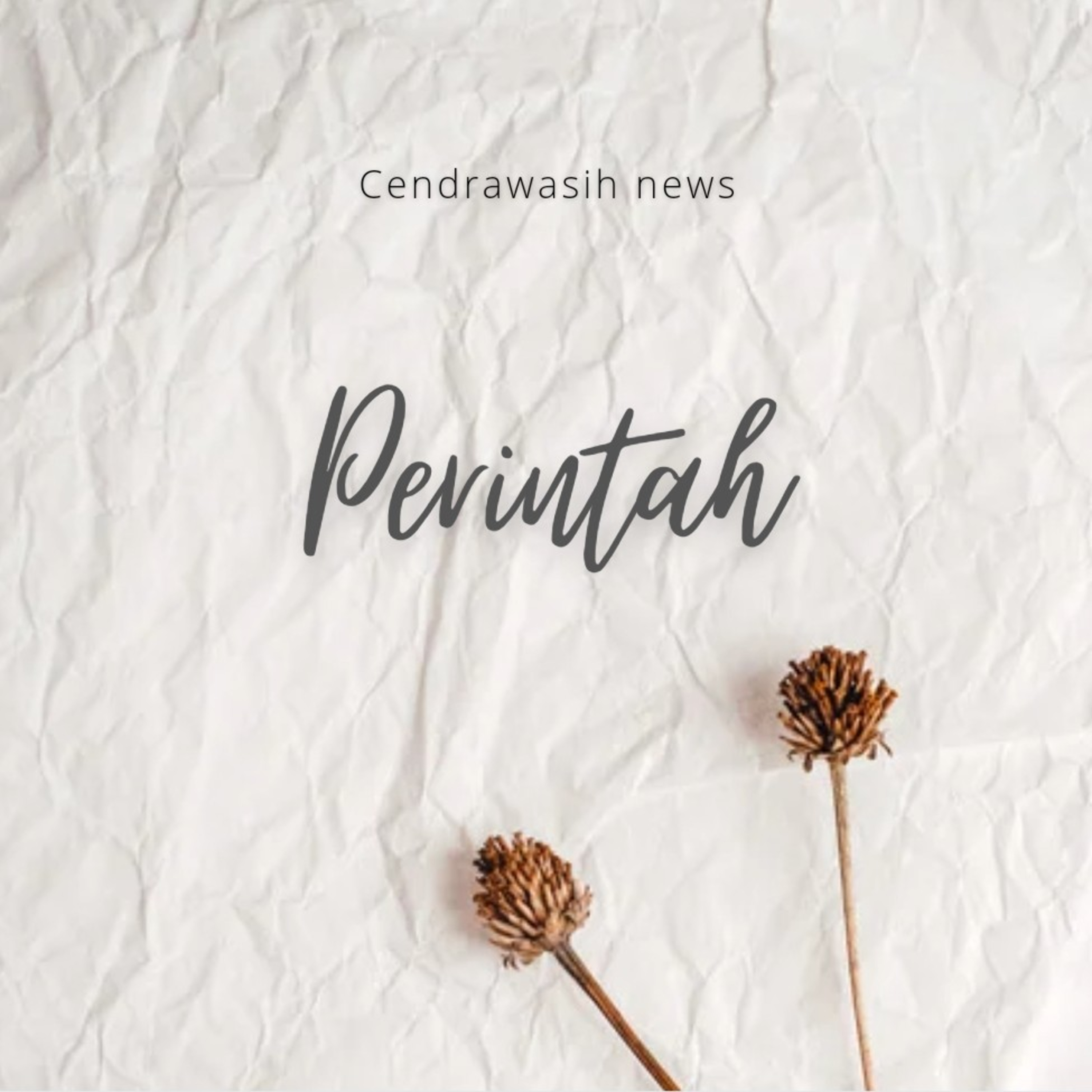 Cendrawasih News